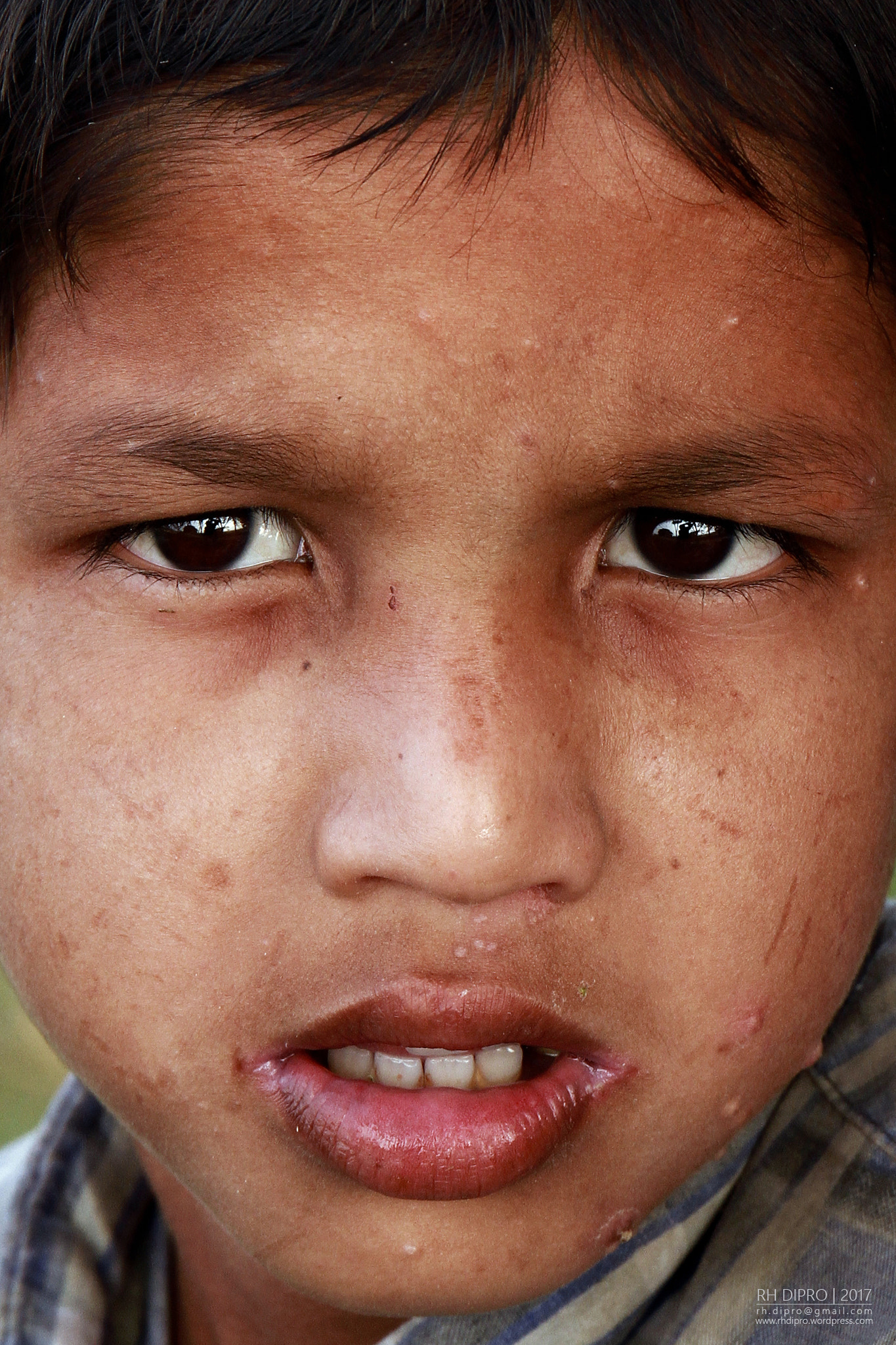Canon EF 24-70mm F4L IS USM sample photo. Face of curiosity photography