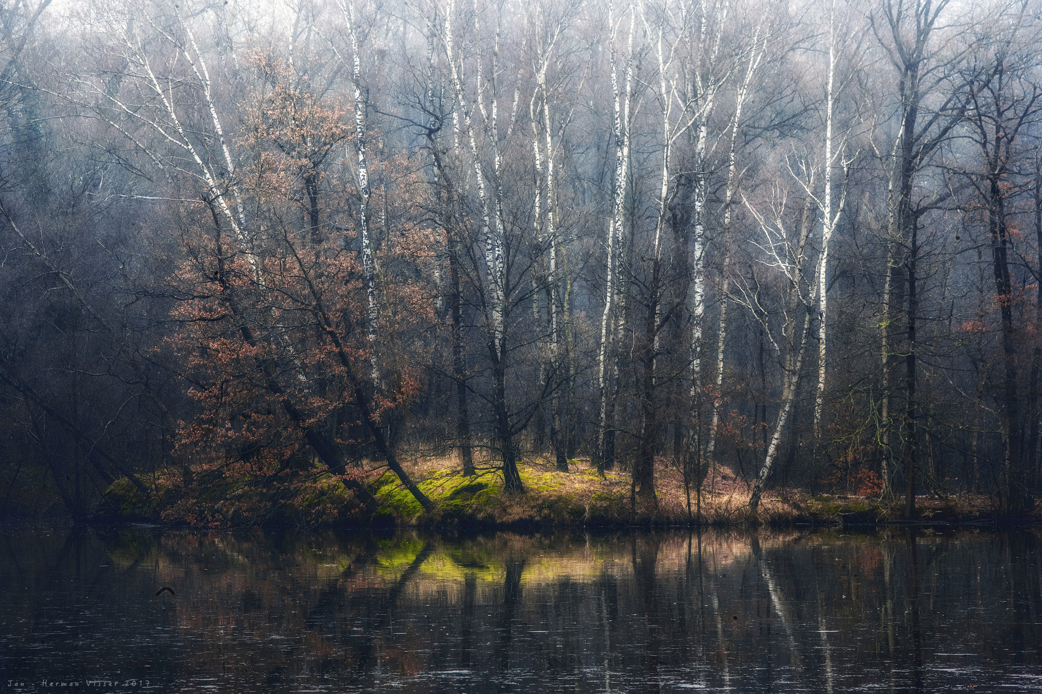 Canon EF 50-200mm f/3.5-4.5 sample photo. Lost paradise... photography