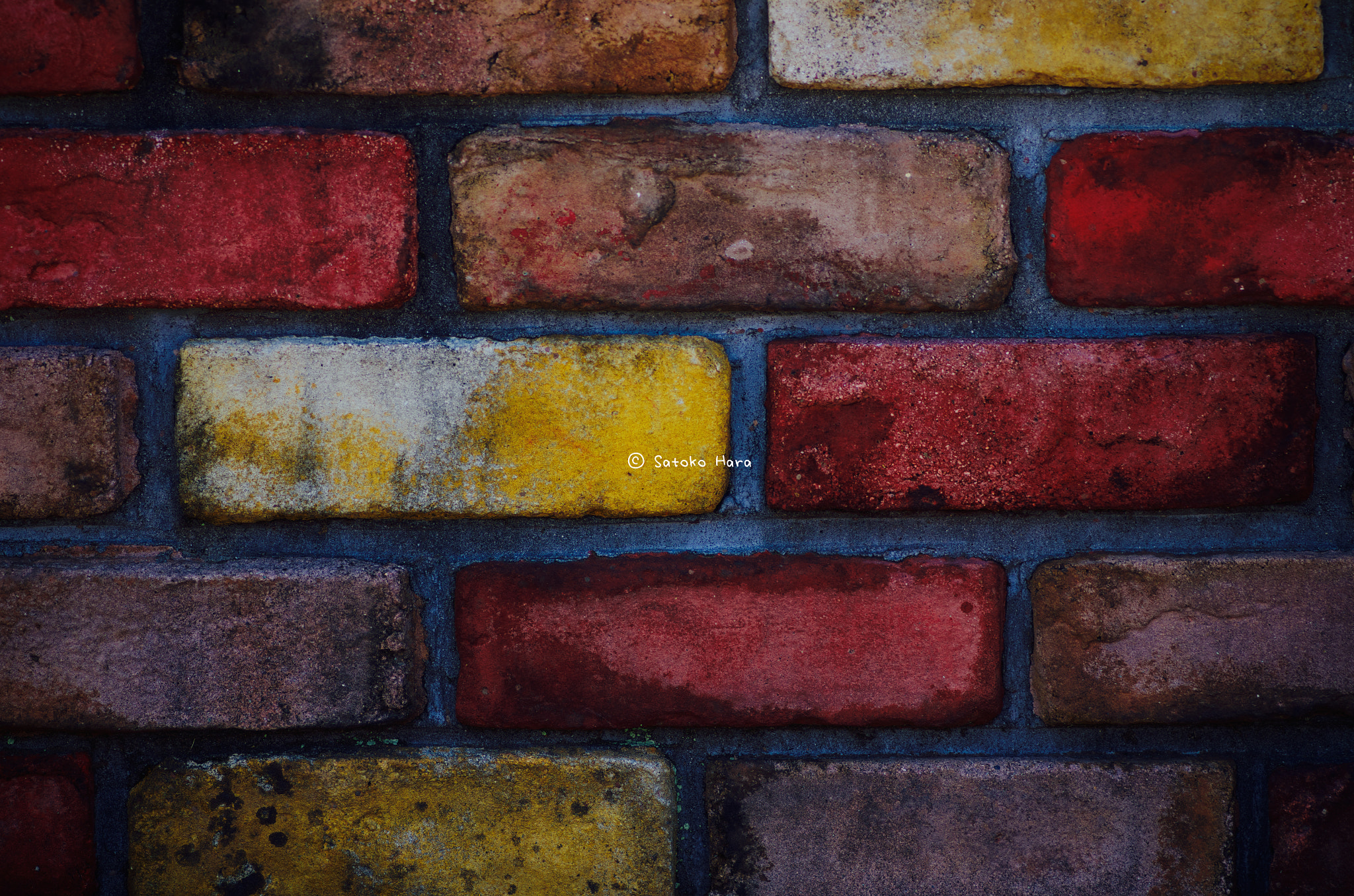Pentax smc D-FA 100mm F2.8 Macro WR sample photo. Psychology puzzle photography