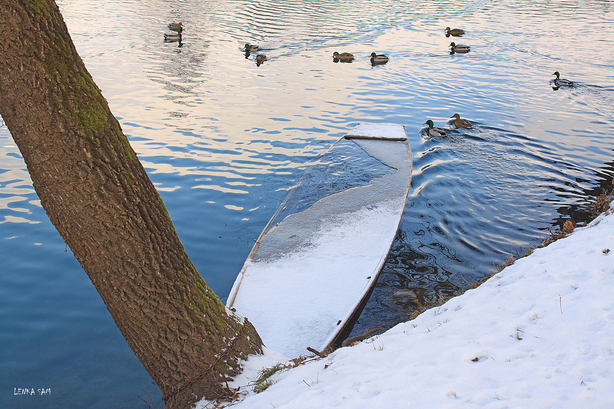 Canon EOS 500D (EOS Rebel T1i / EOS Kiss X3) sample photo. Winter dreams photography