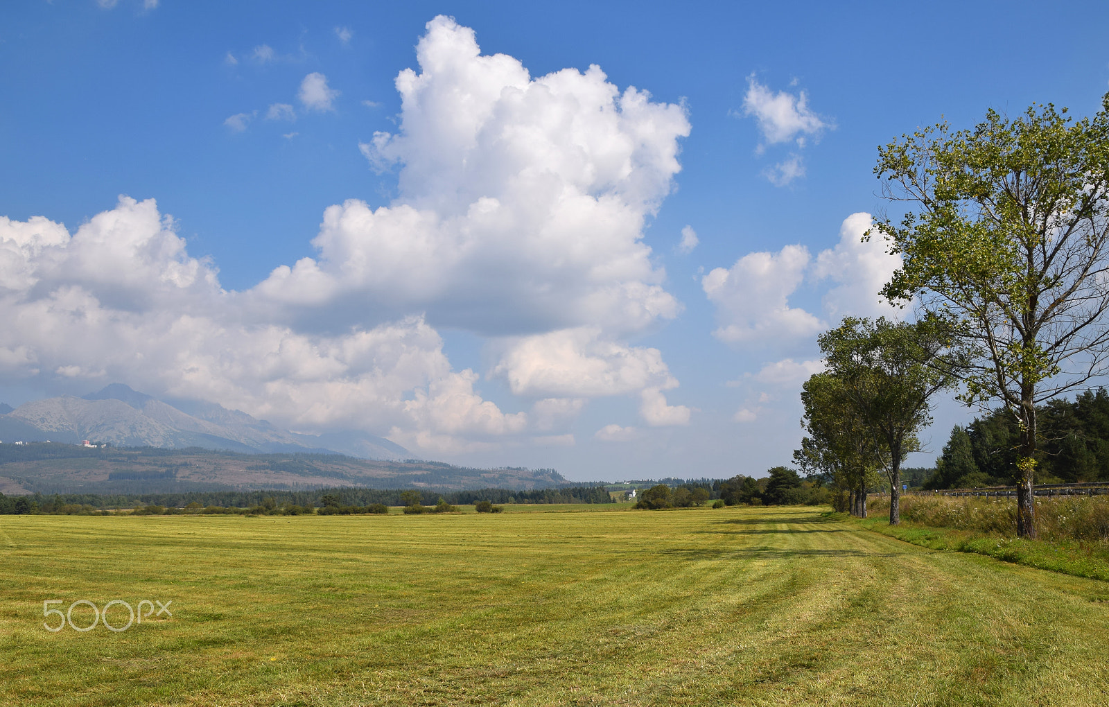 Nikon D3300 sample photo. Pastoral landscape with cloudy blue sky photography