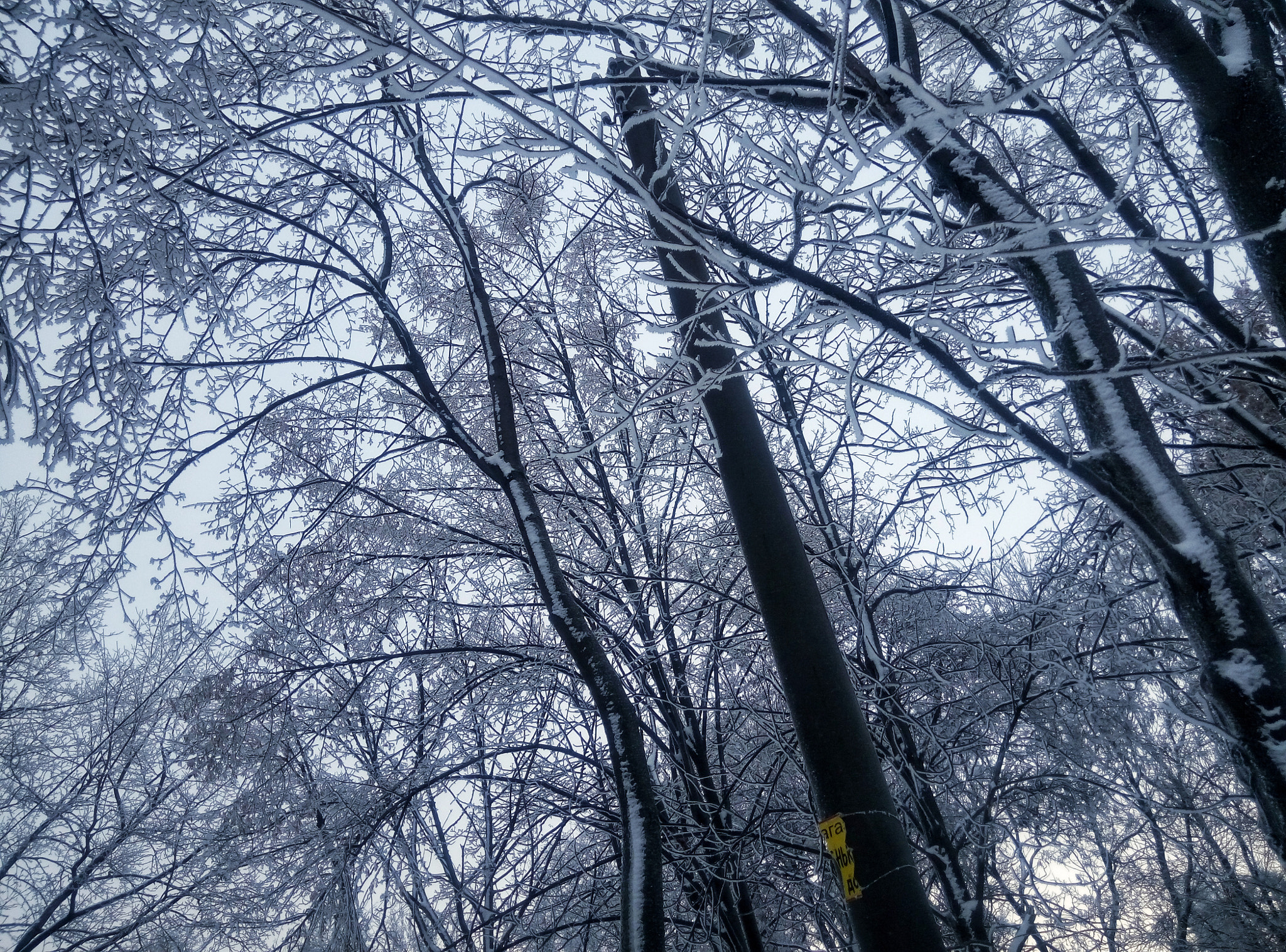 Meizu m2 sample photo