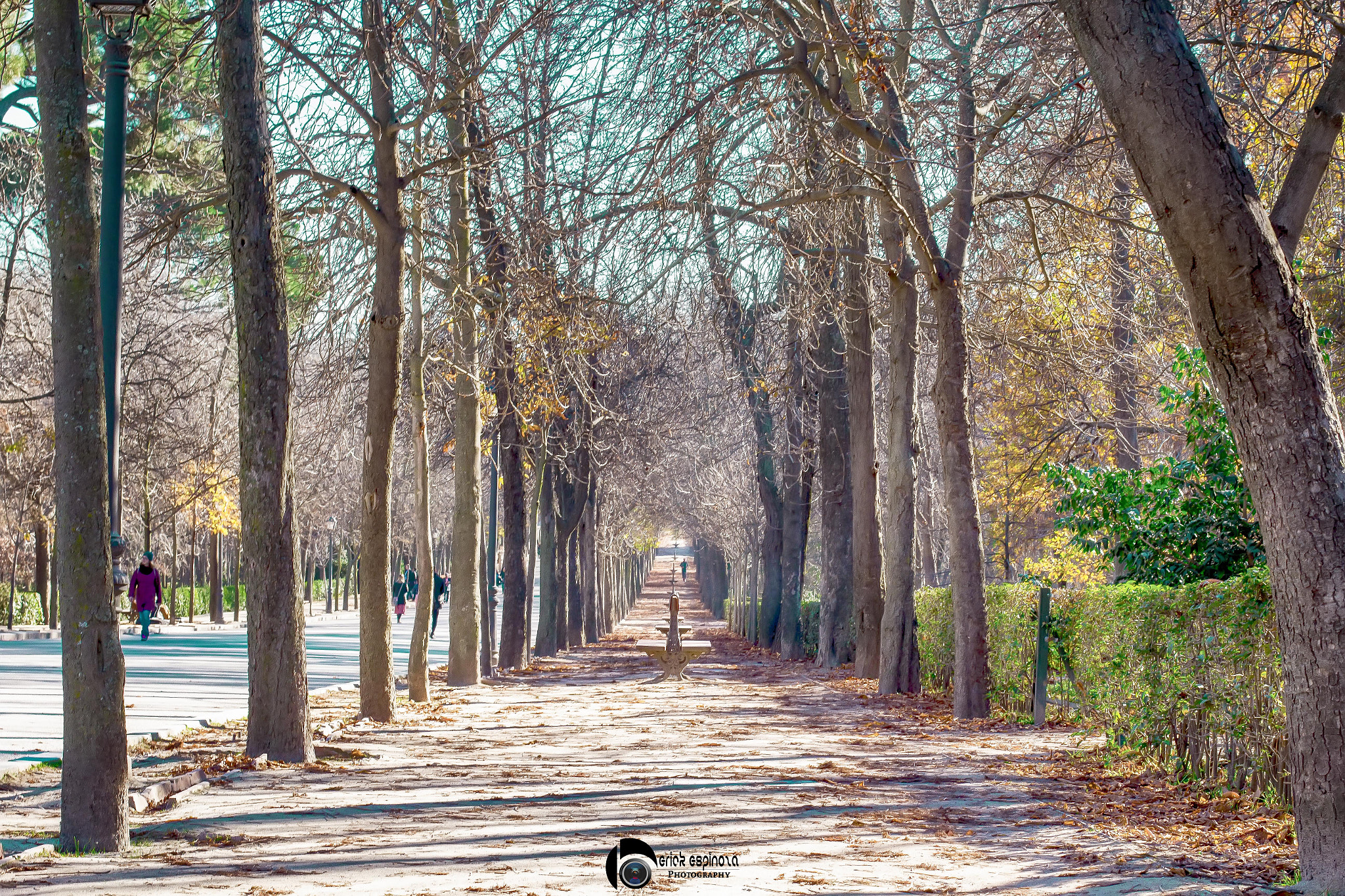 Canon EF 50mm F1.4 USM sample photo. Colour of the nature photography