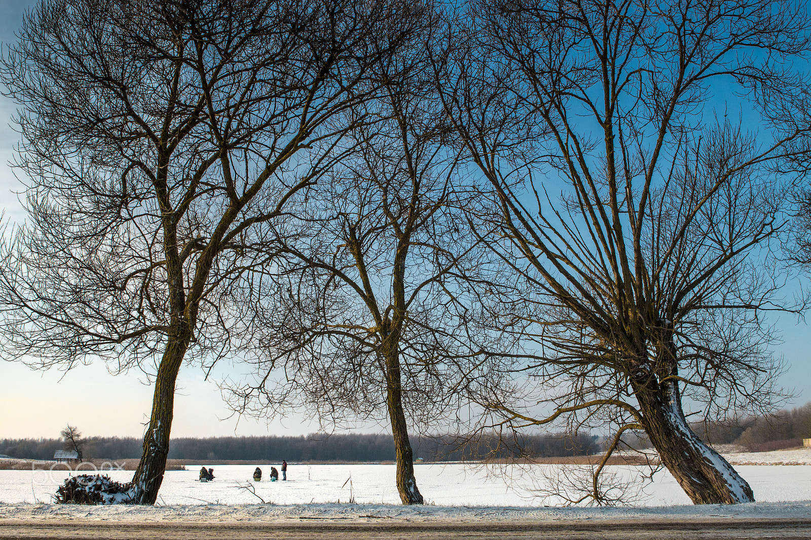 Canon EOS 70D + Canon EF 24-70mm F2.8L USM sample photo. Winter fishing in belarus. photography