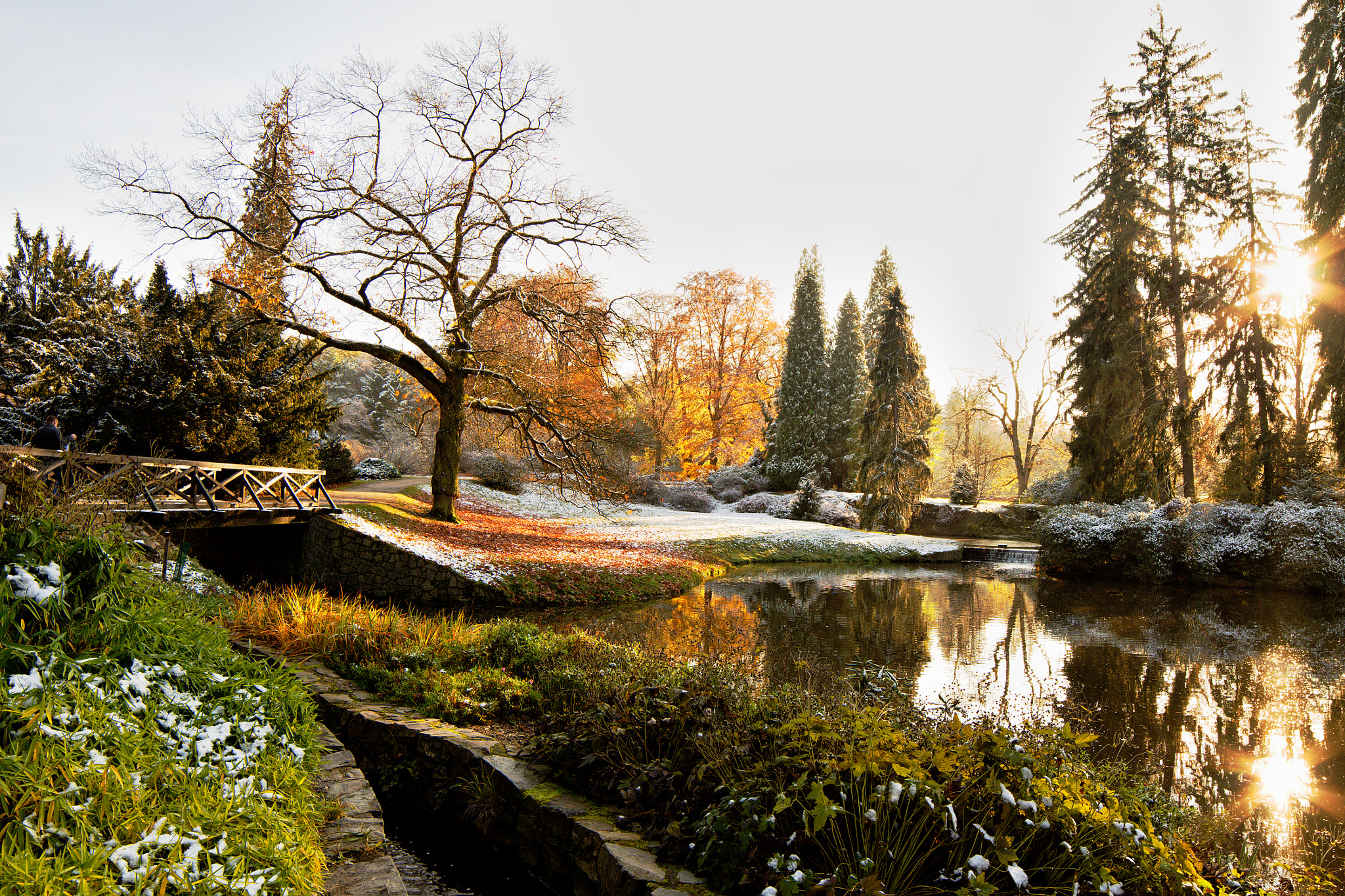 Samyang 14mm F2.8 ED AS IF UMC sample photo. English landscape garden in pruhonice photography