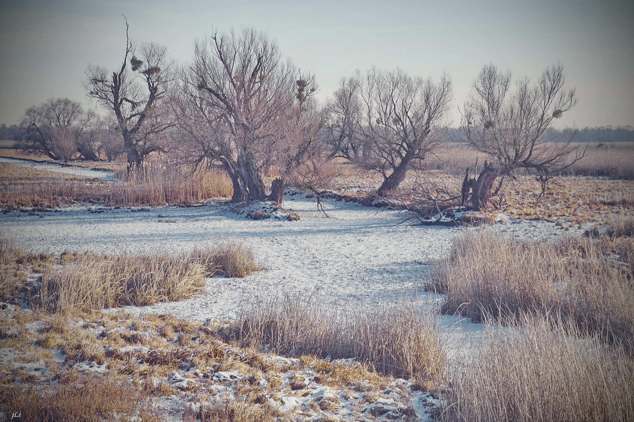 Pentax K-3 sample photo. The four seasons :winter  iv ;) photography