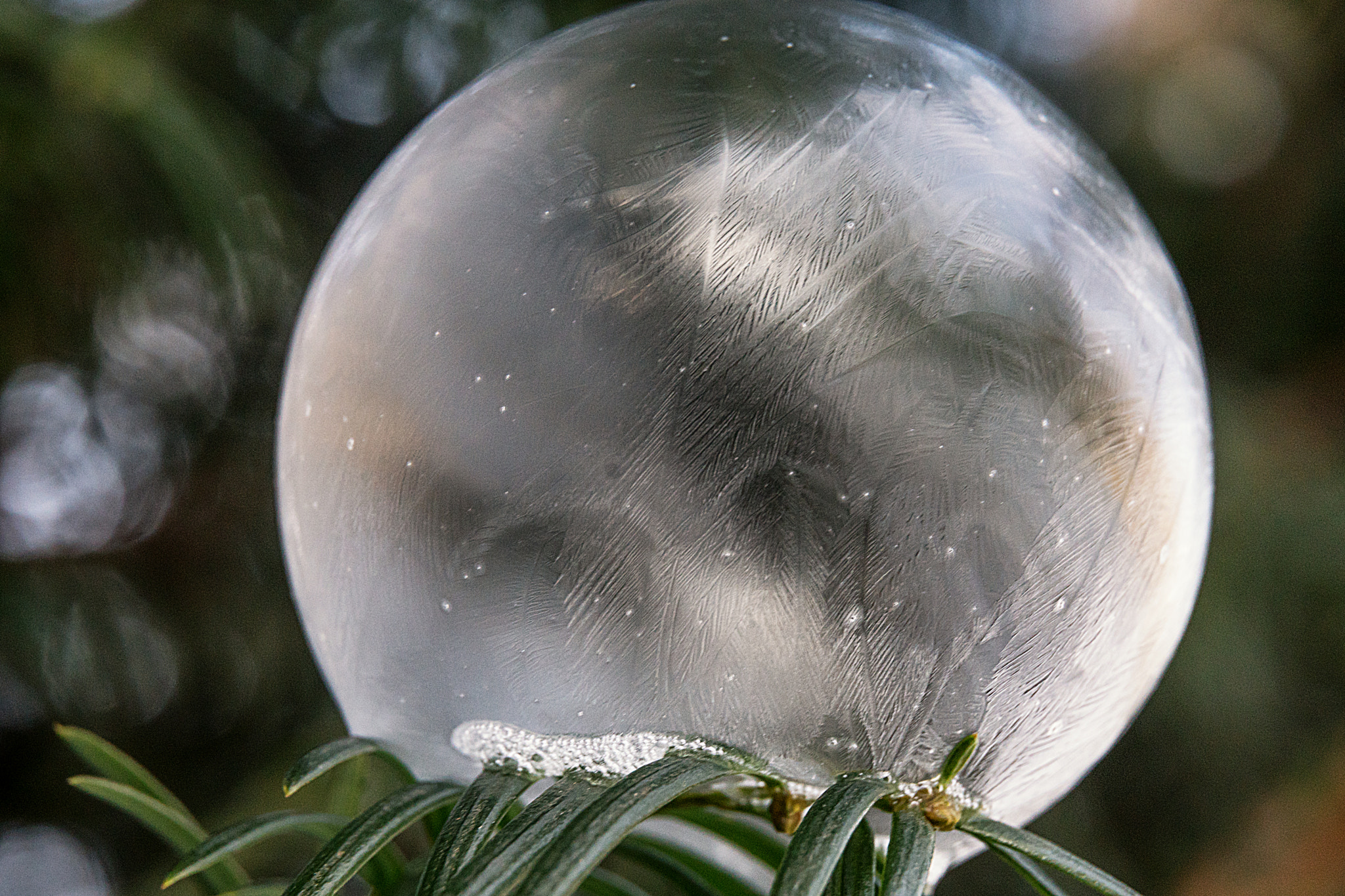 Sony a6300 + Canon EF 24-70mm F4L IS USM sample photo. Frozen soap bubble photography