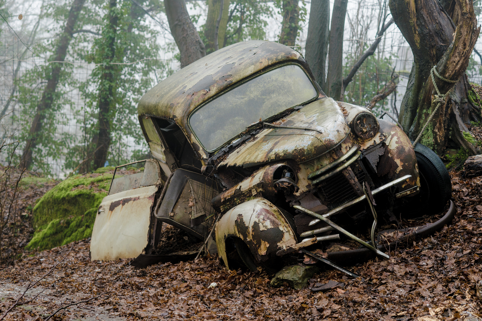 Sony Planar T* 85mm F1.4 ZA sample photo. Wrecked photography