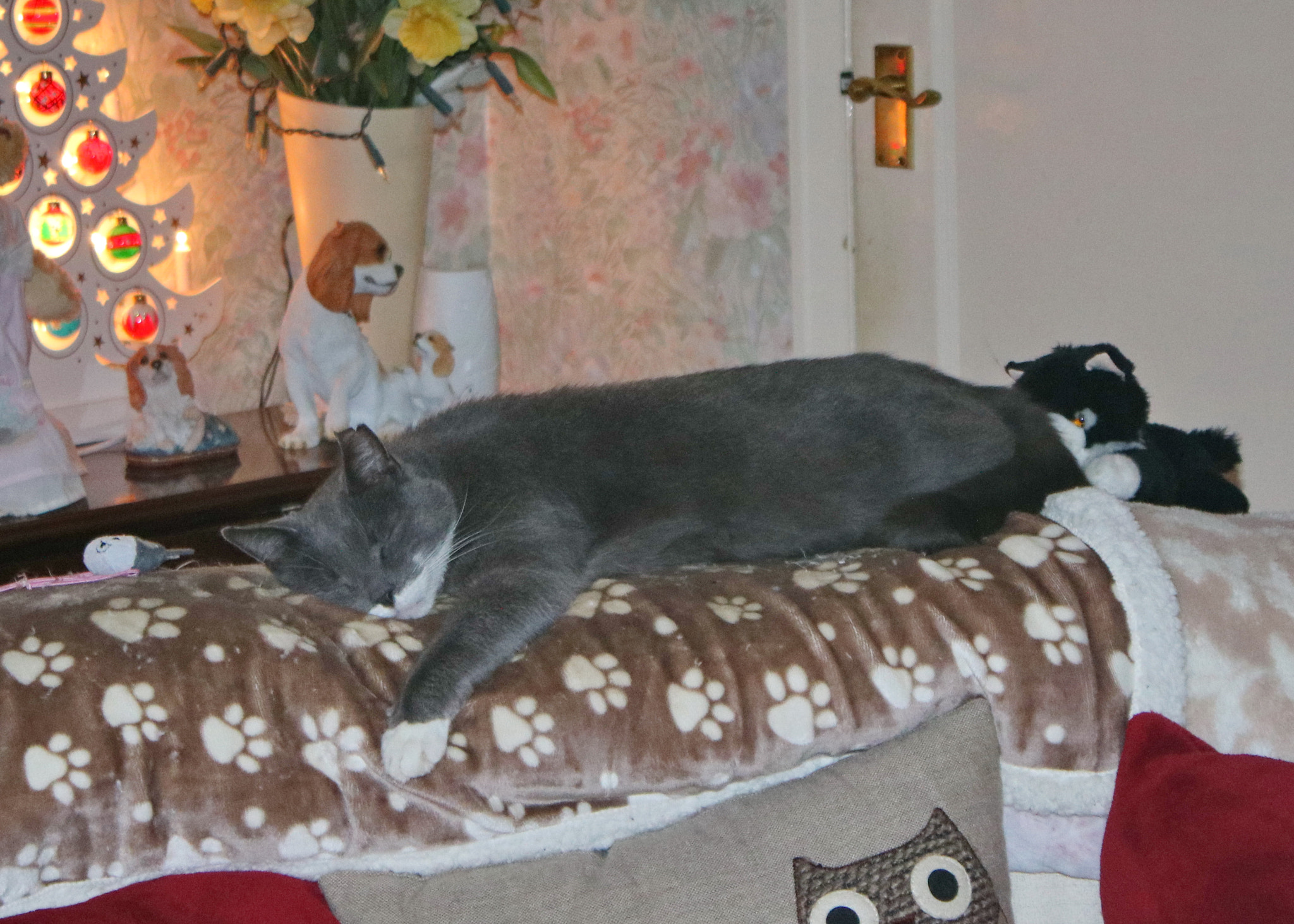 Canon EOS 750D (EOS Rebel T6i / EOS Kiss X8i) sample photo. Exhaustion !! photography