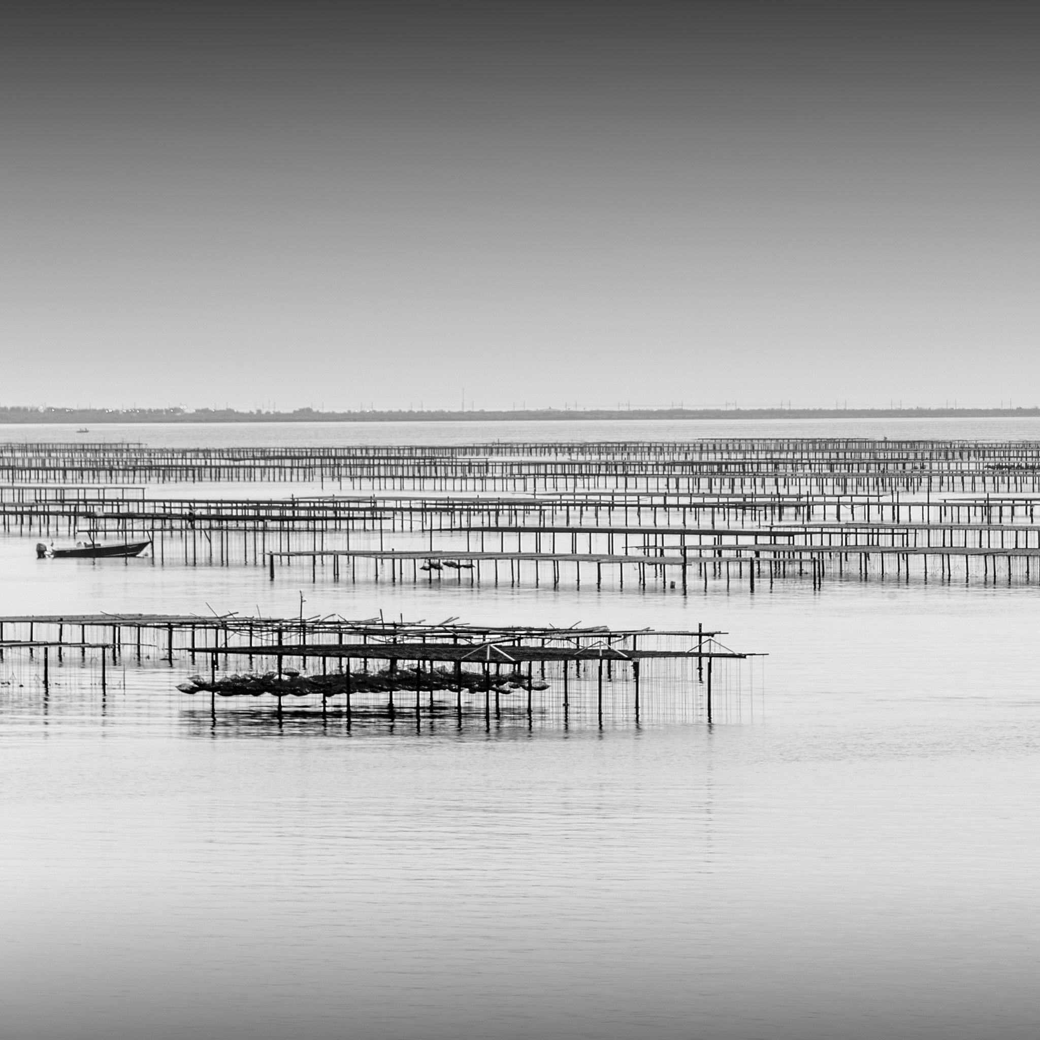 Nikon D4 sample photo. Oyster beds in bouzigues, france photography