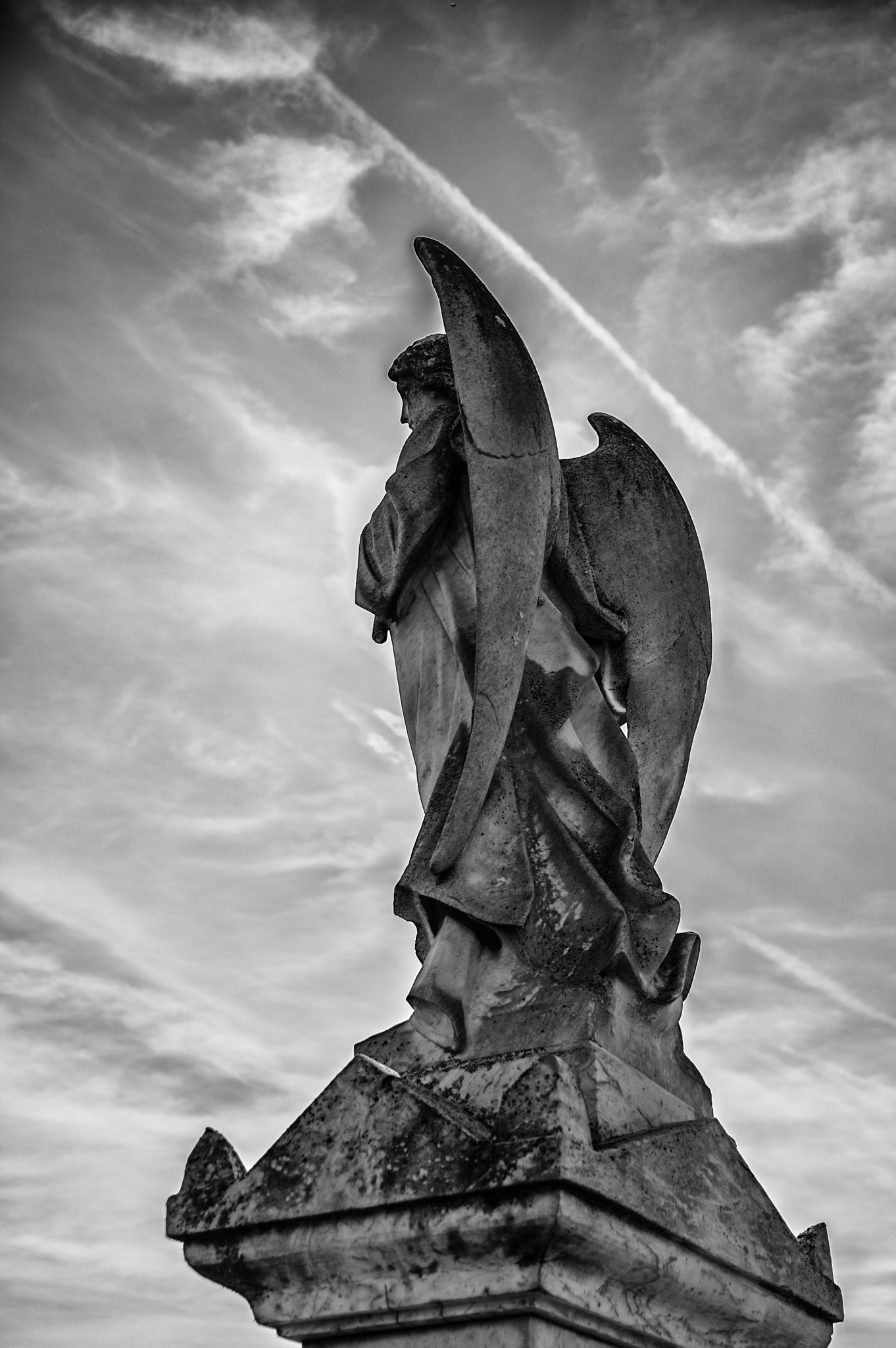 Sigma 17-50mm F2.8 EX DC HSM sample photo. Angel bw photography