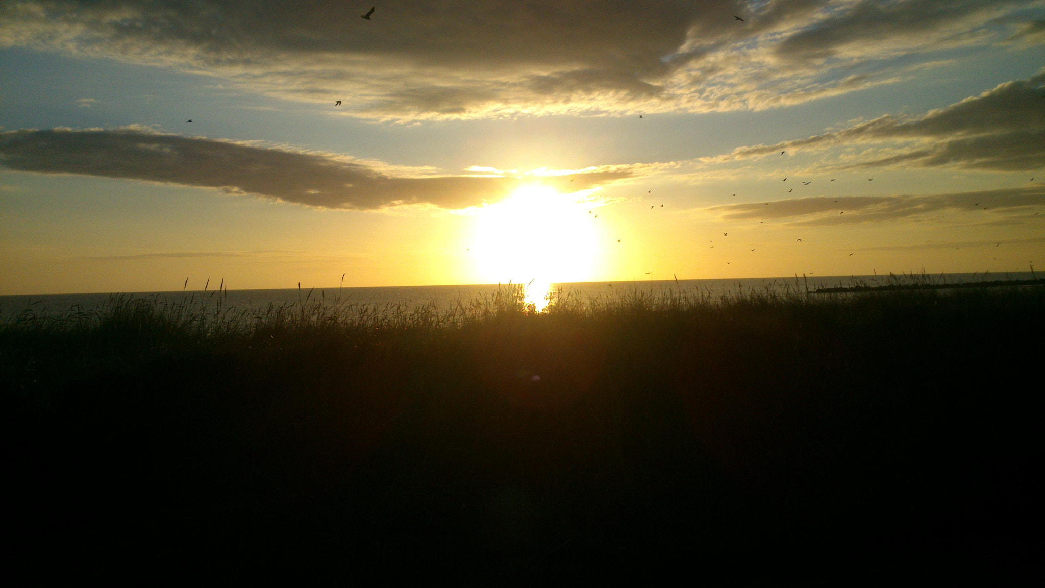 Sony Xperia P sample photo. Sunsky photography