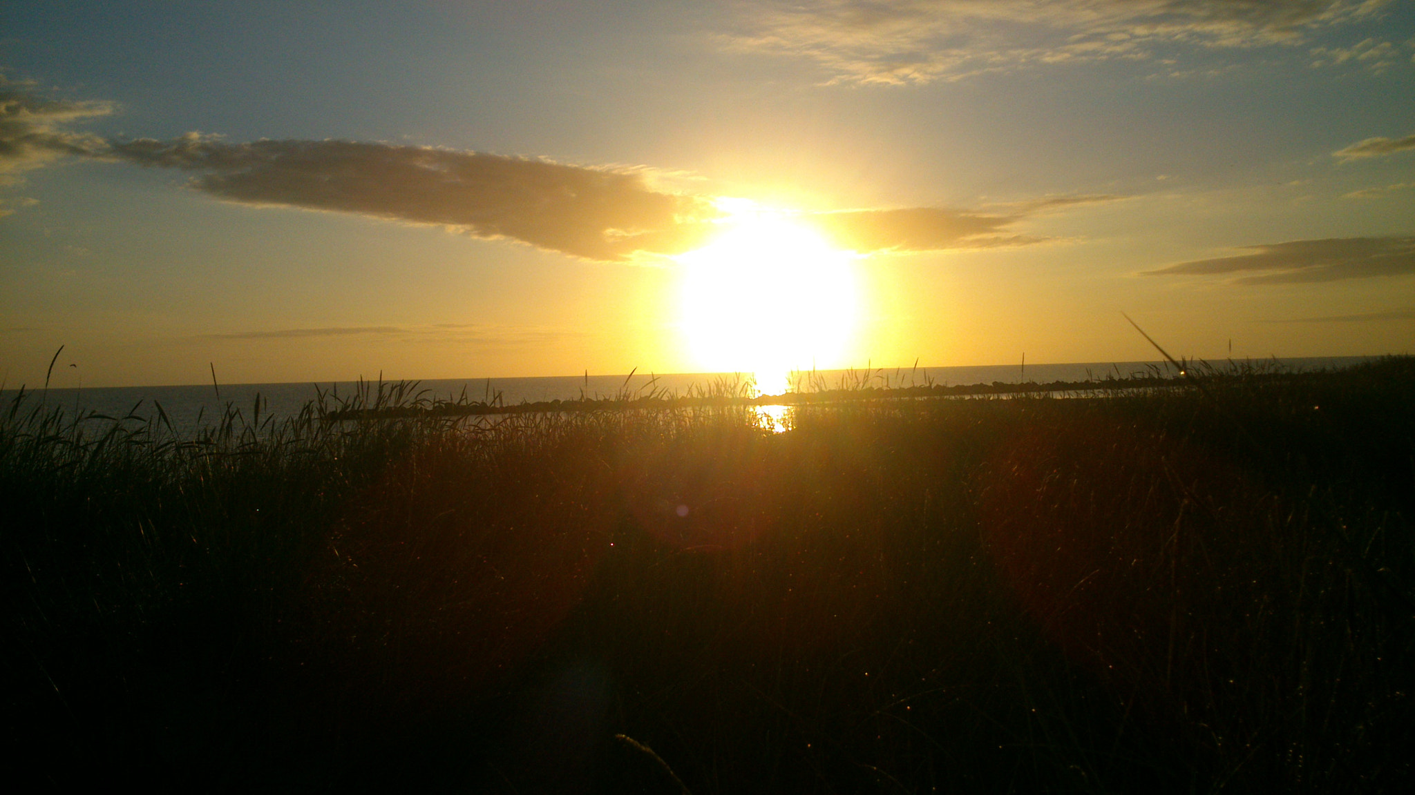 Sony Xperia P sample photo. #sunshine photography