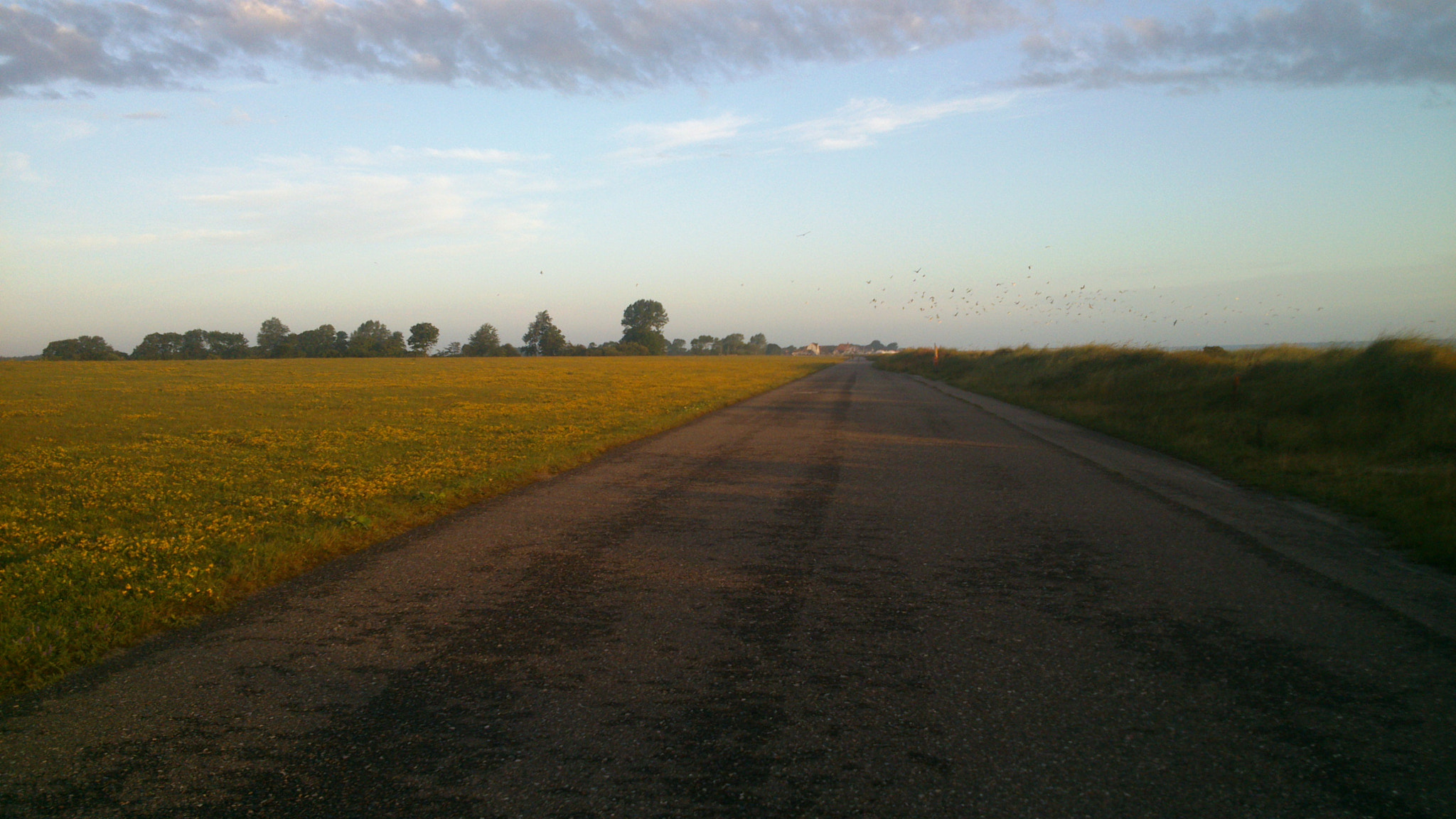 Sony Xperia P sample photo. #highway photography