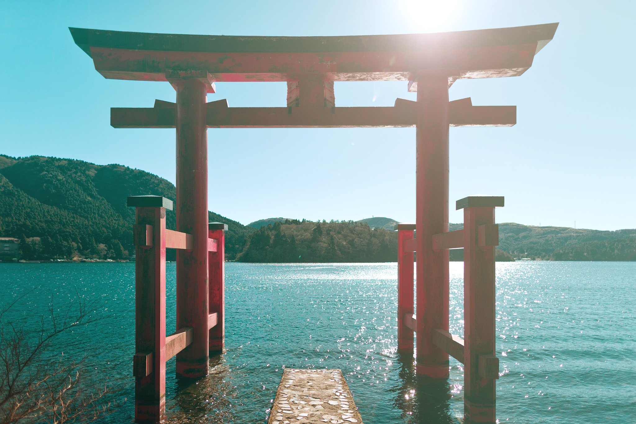 Canon EOS-1D X + Canon EF 24mm F1.4L II USM sample photo. 箱根神社平和鳥居 photography