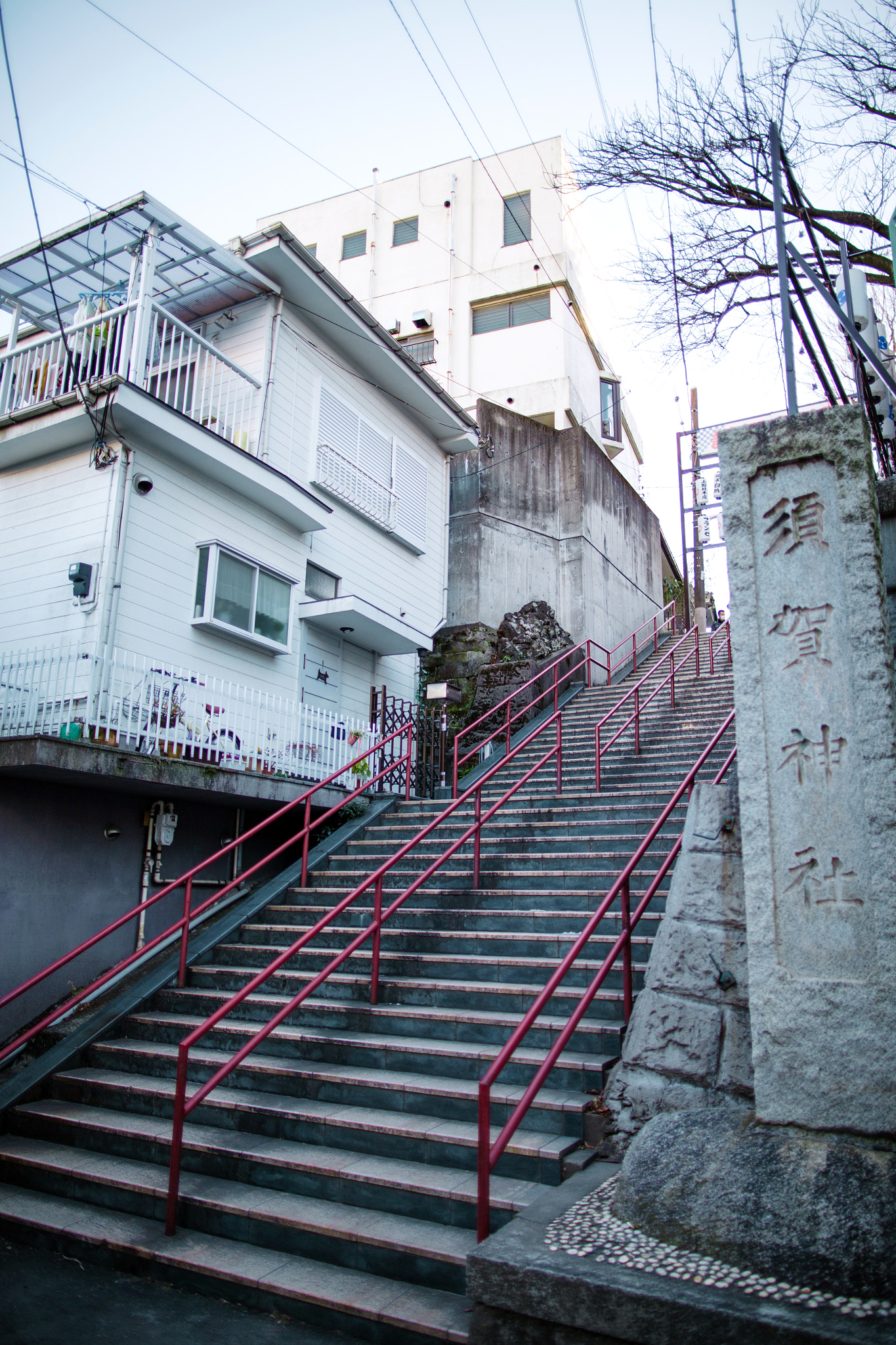 Canon EF 24mm F1.4L II USM sample photo. 須賀神社 photography