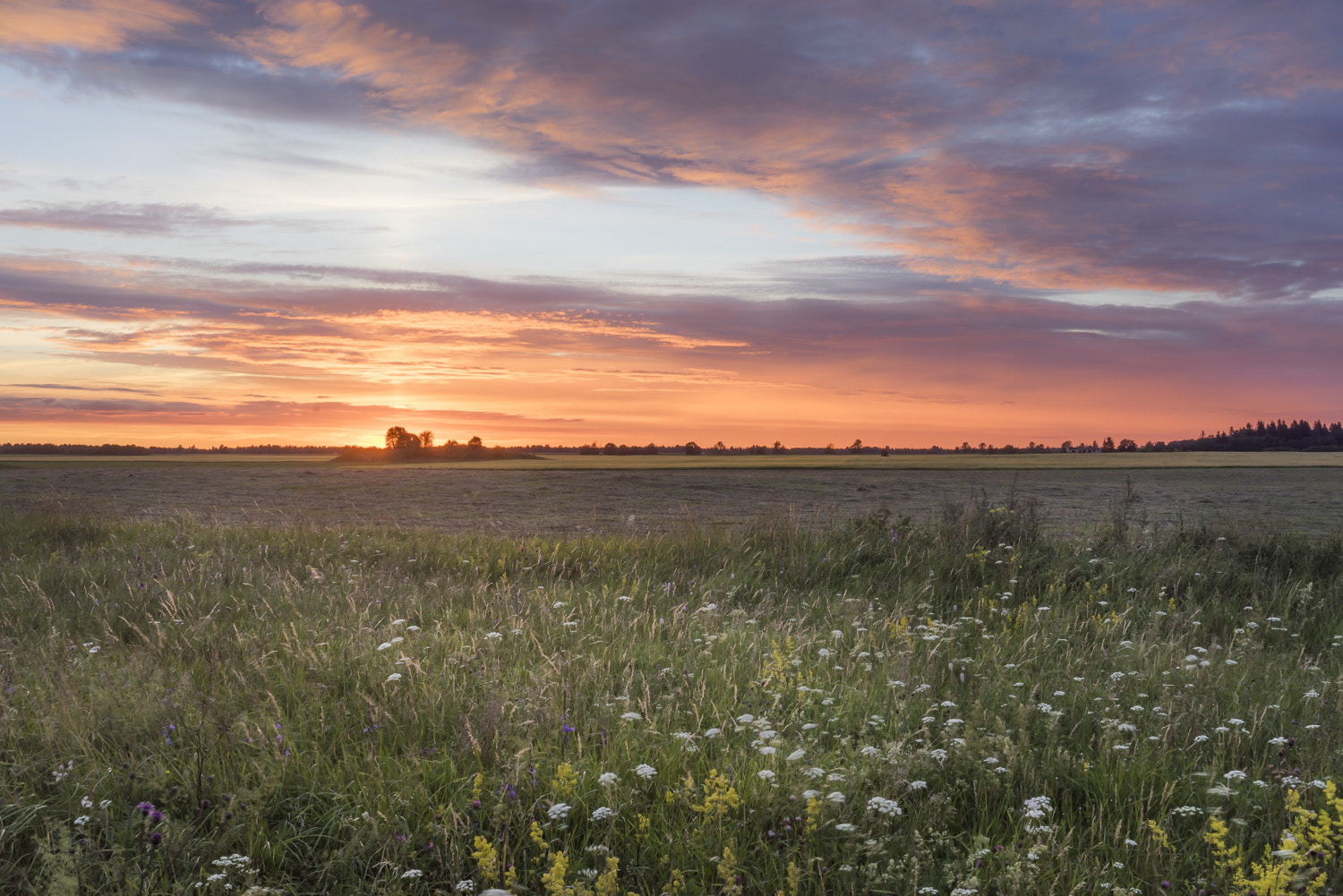 Sony a7R sample photo. Evening photography