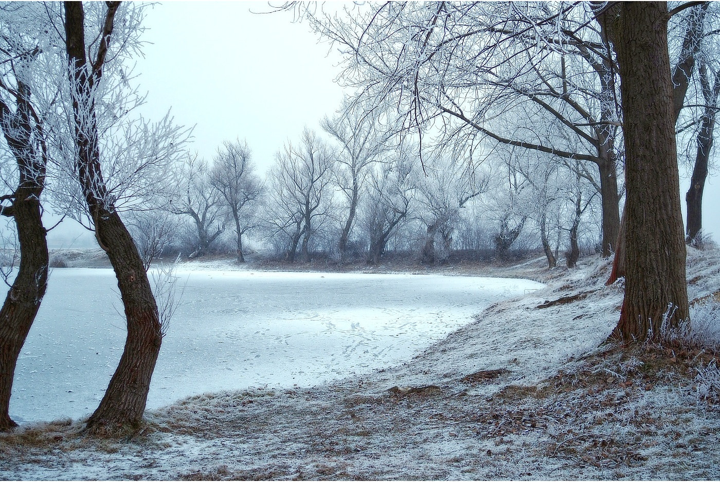 Olympus OM-D E-M10 sample photo. Winter idyll photography