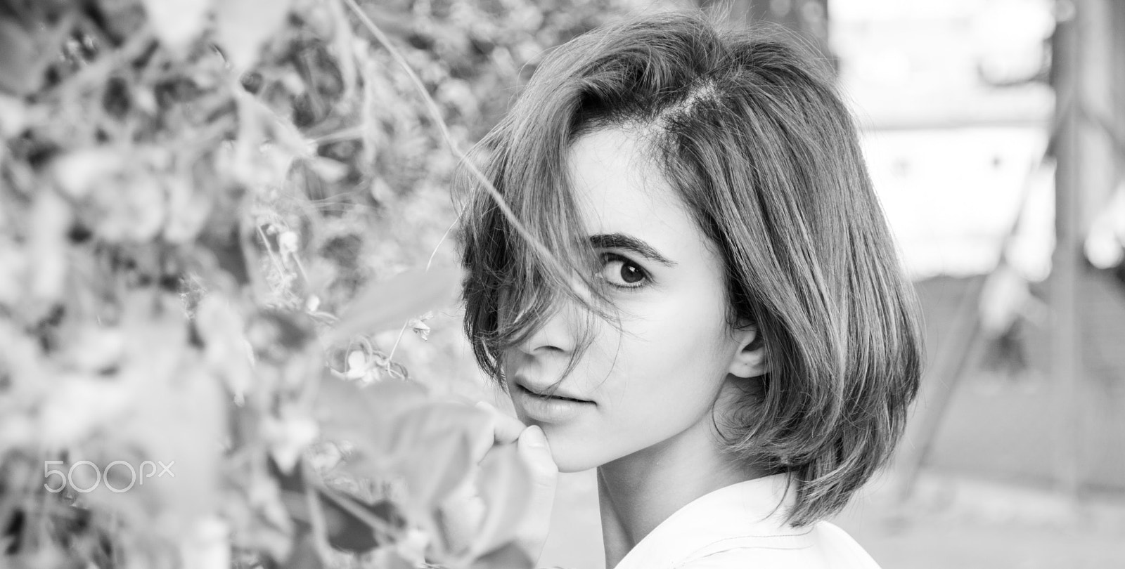 Sigma 18-250mm F3.5-6.3 DC OS HSM sample photo. The b&w beauty photography