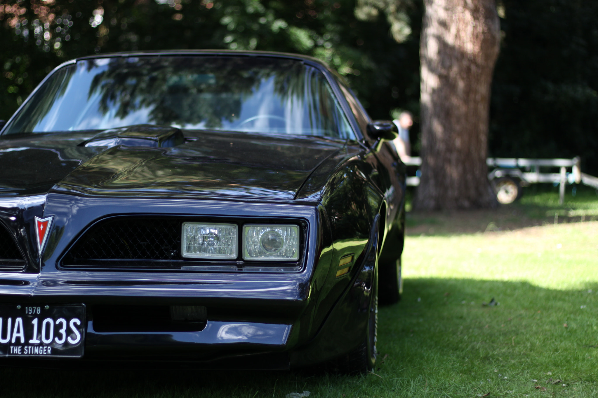 Canon EOS 50D + Canon EF 50mm F1.8 STM sample photo. Img photography