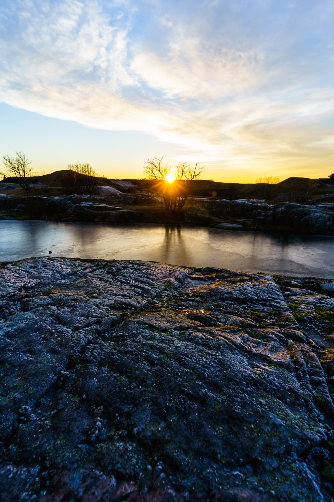 Sony a7 II + ZEISS Batis 18mm F2.8 sample photo. Sunset tree photography