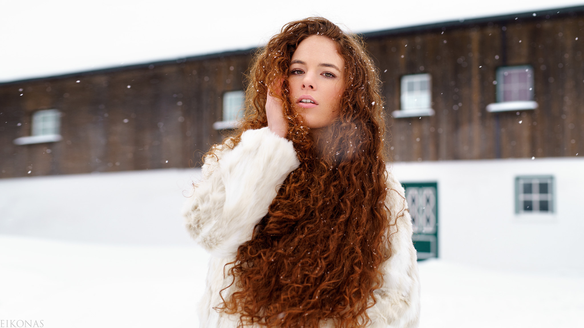 Minolta AF 50mm F1.4 [New] sample photo. Snowflakes photography
