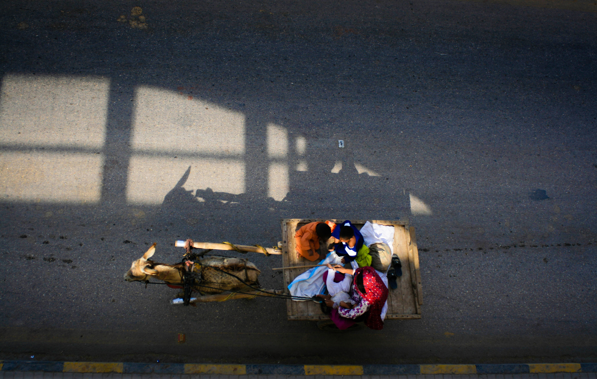 Canon EF 28-90mm f/4-5.6 sample photo. A donkey cart photography