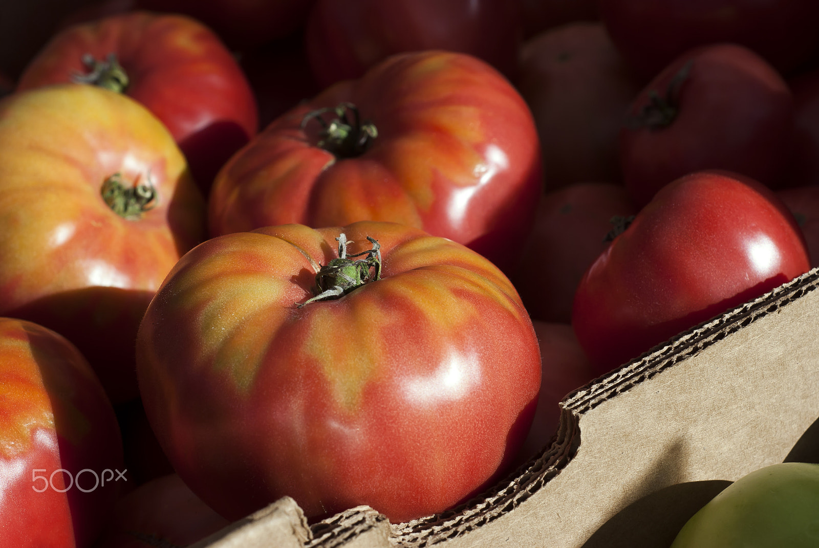 Nikon D60 + Nikon AF Nikkor 50mm F1.8D sample photo. Farmer’s market tomatoes photography