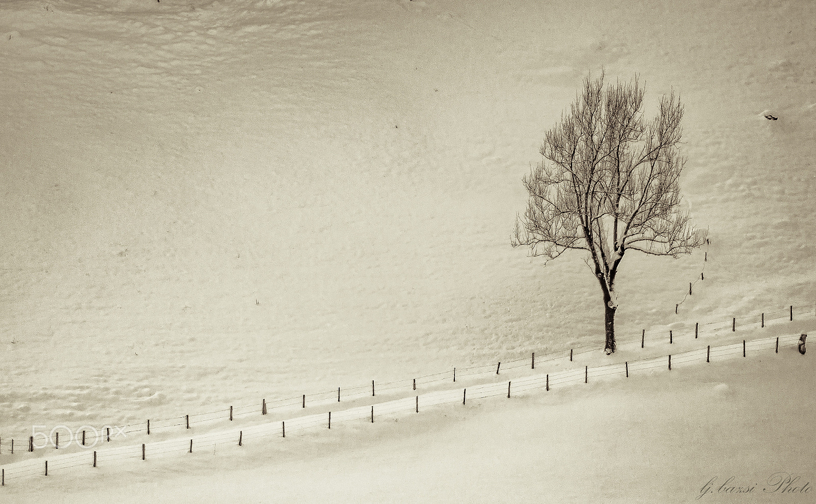 Olympus OM-D E-M10 sample photo. Snowy solitude photography