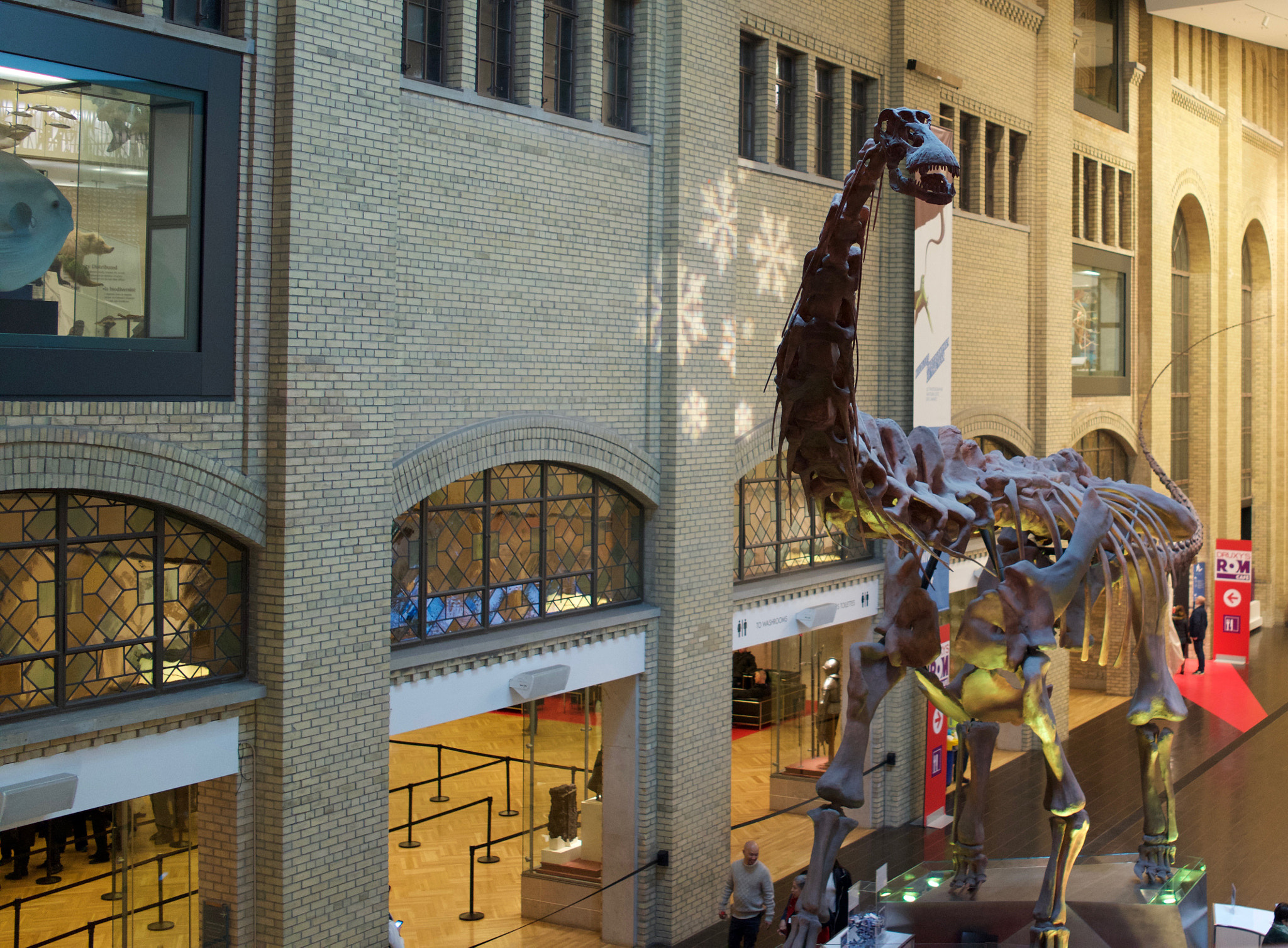 Sony Cyber-shot DSC-RX1R + Sony 35mm F2.0 sample photo. Royal ontario museum #2 photography