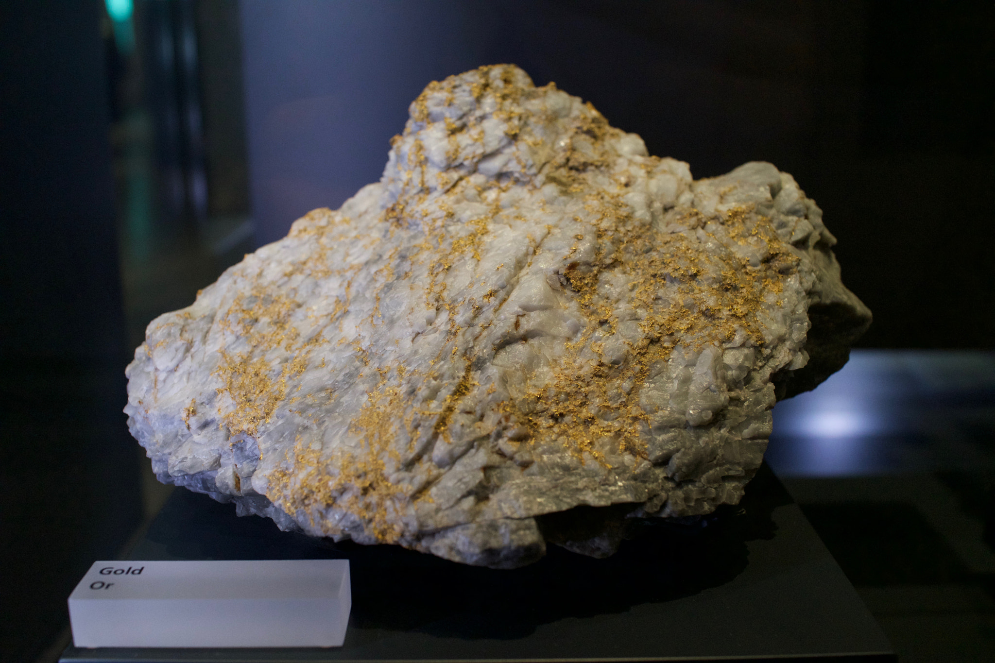 Sony Cyber-shot DSC-RX1R + Sony 35mm F2.0 sample photo. Royal ontario museum #7 photography