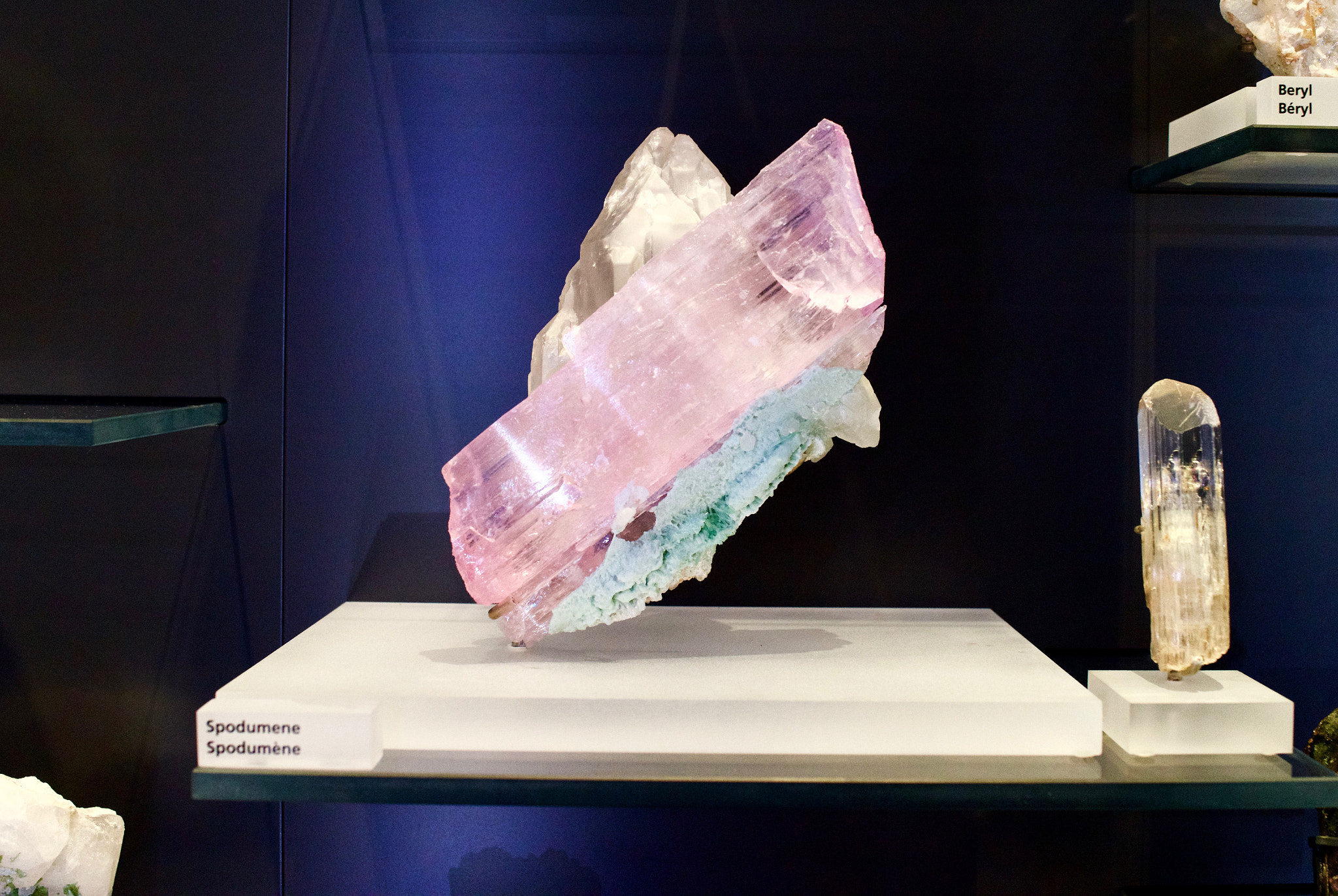 Sony Cyber-shot DSC-RX1R + Sony 35mm F2.0 sample photo. Royal ontario museum #11 photography