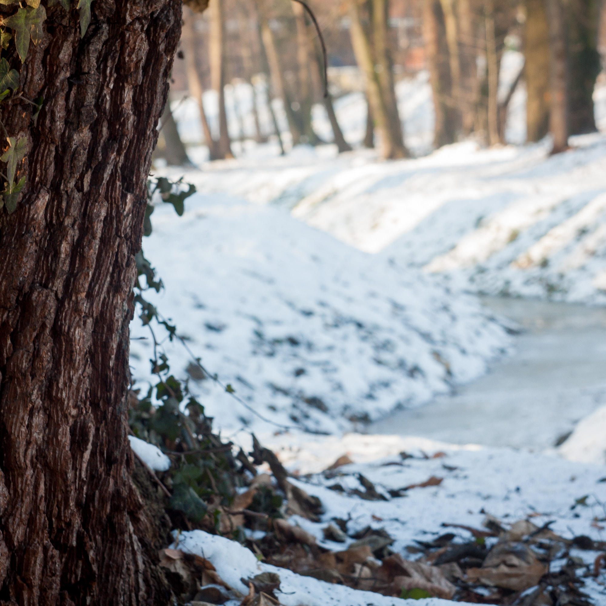 Canon EF 35-80mm f/4-5.6 sample photo. It still flows photography