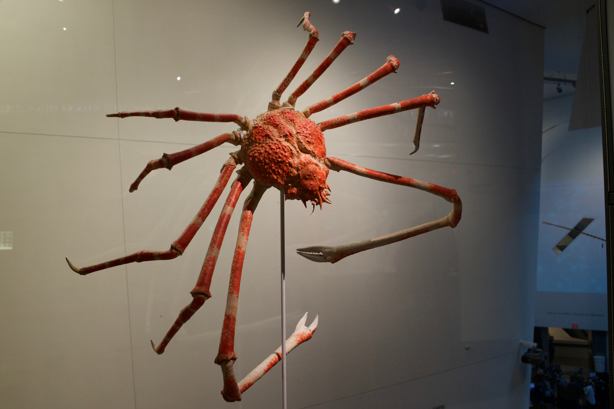 Sony Cyber-shot DSC-RX1R + Sony 35mm F2.0 sample photo. Royal ontario museum #22 photography