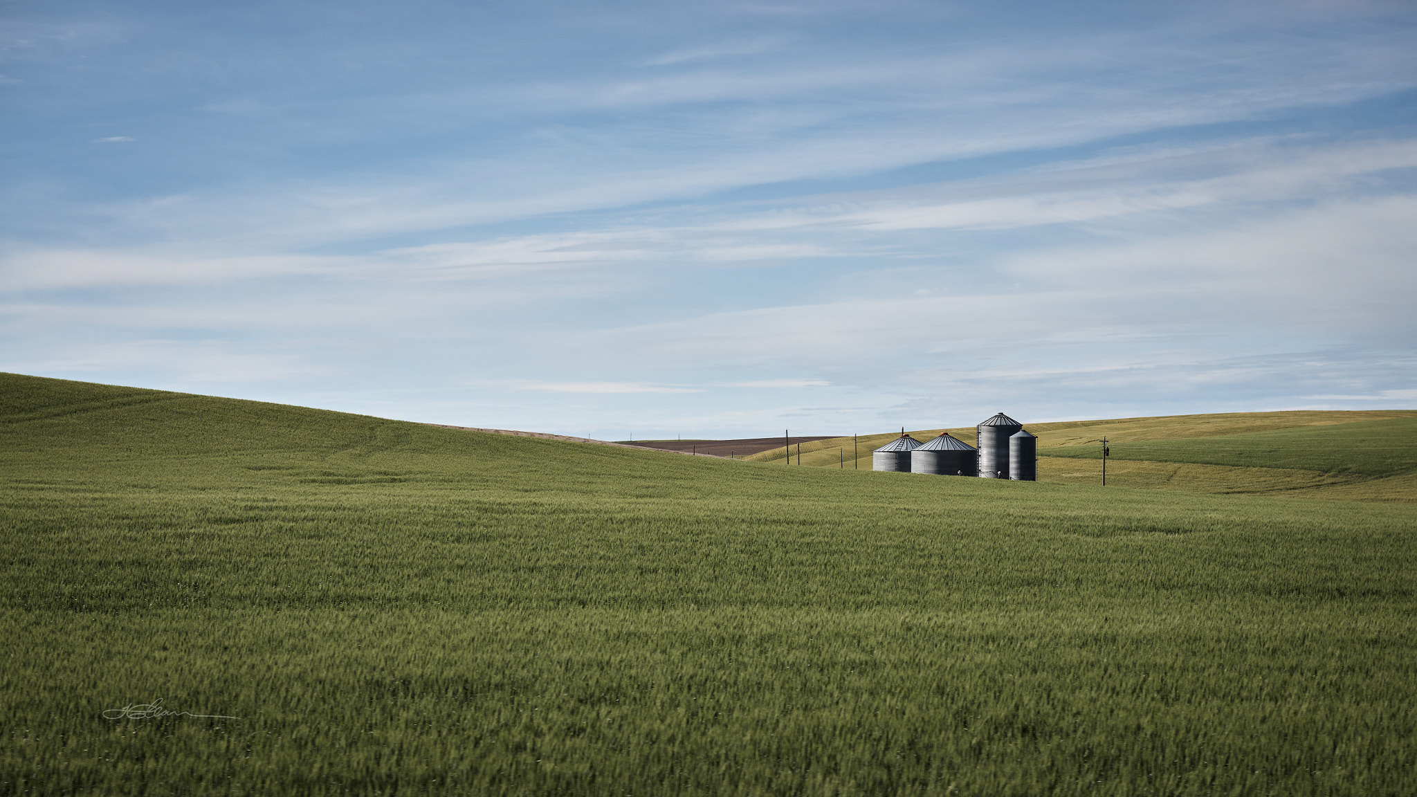 Nikon AF-S Nikkor 24-70mm F2.8G ED sample photo. Summer day photography
