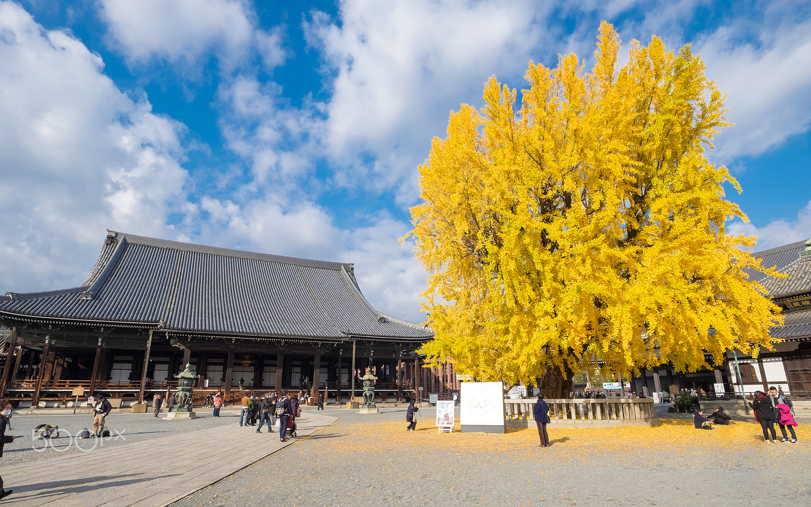 ZEISS Touit 12mm F2.8 sample photo. Kyoto photography