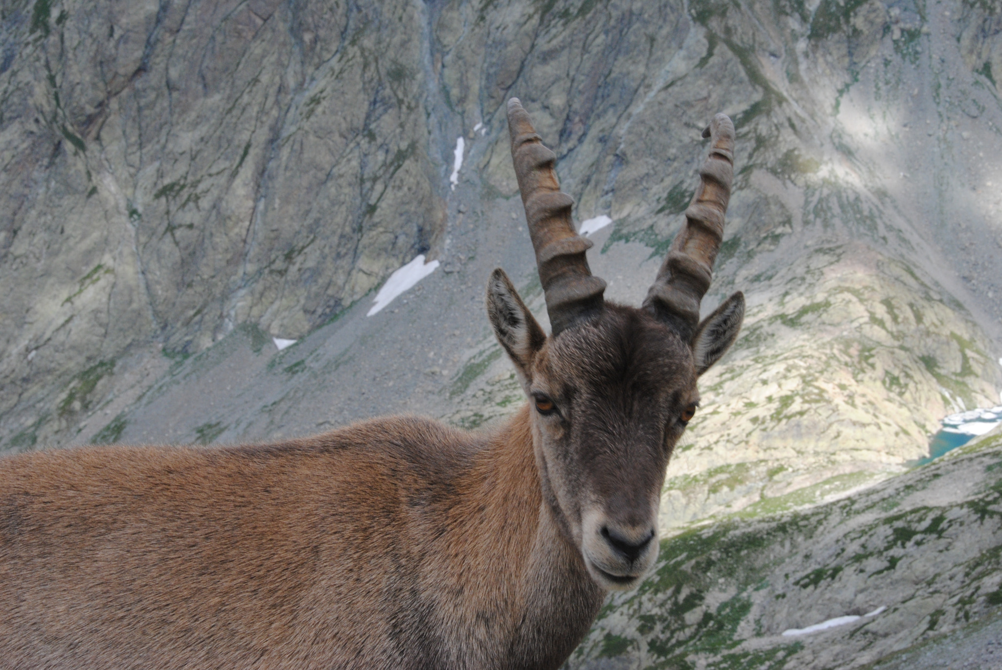 Nikon D3000 sample photo. The winner photography