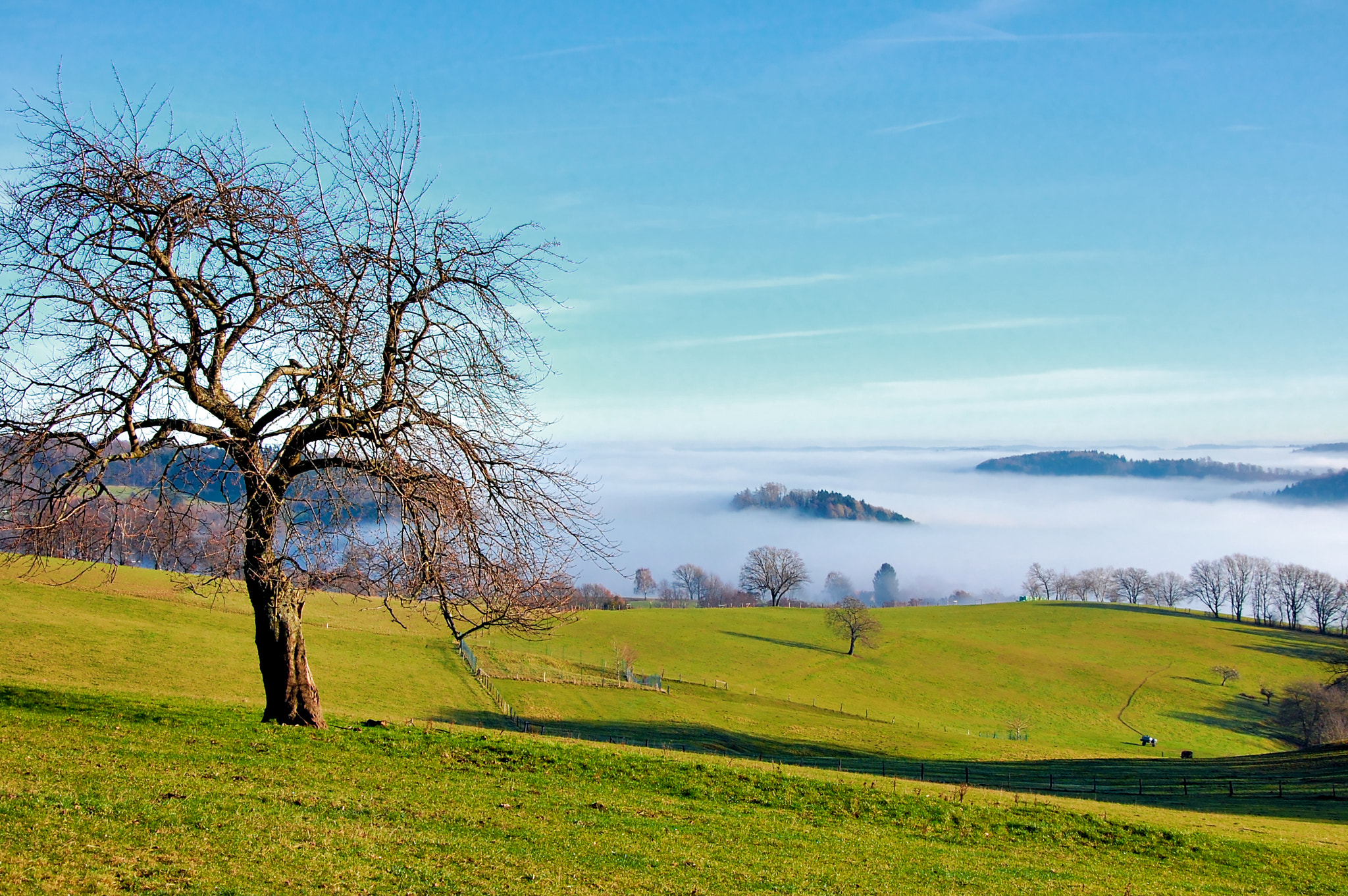 Nikon D40 sample photo. Foggy day down there... photography