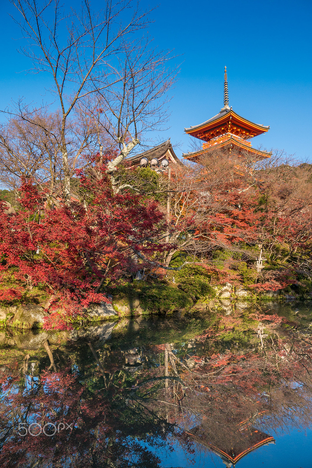 Panasonic Lumix DMC-GX7 sample photo. Kyoto photography