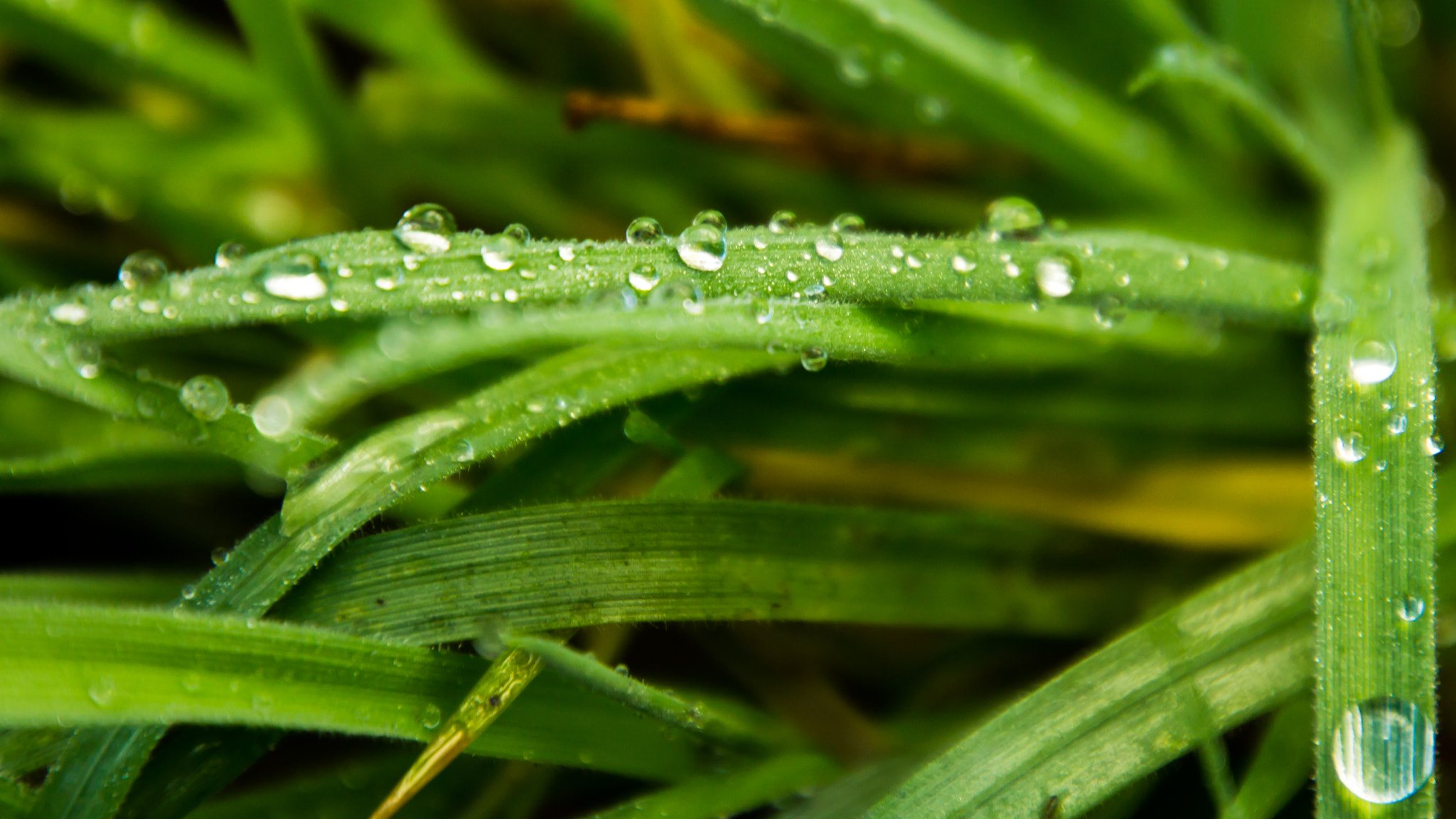 Canon EOS 1100D (EOS Rebel T3 / EOS Kiss X50) sample photo. Mother nature doesn't care if you're having fun. photography
