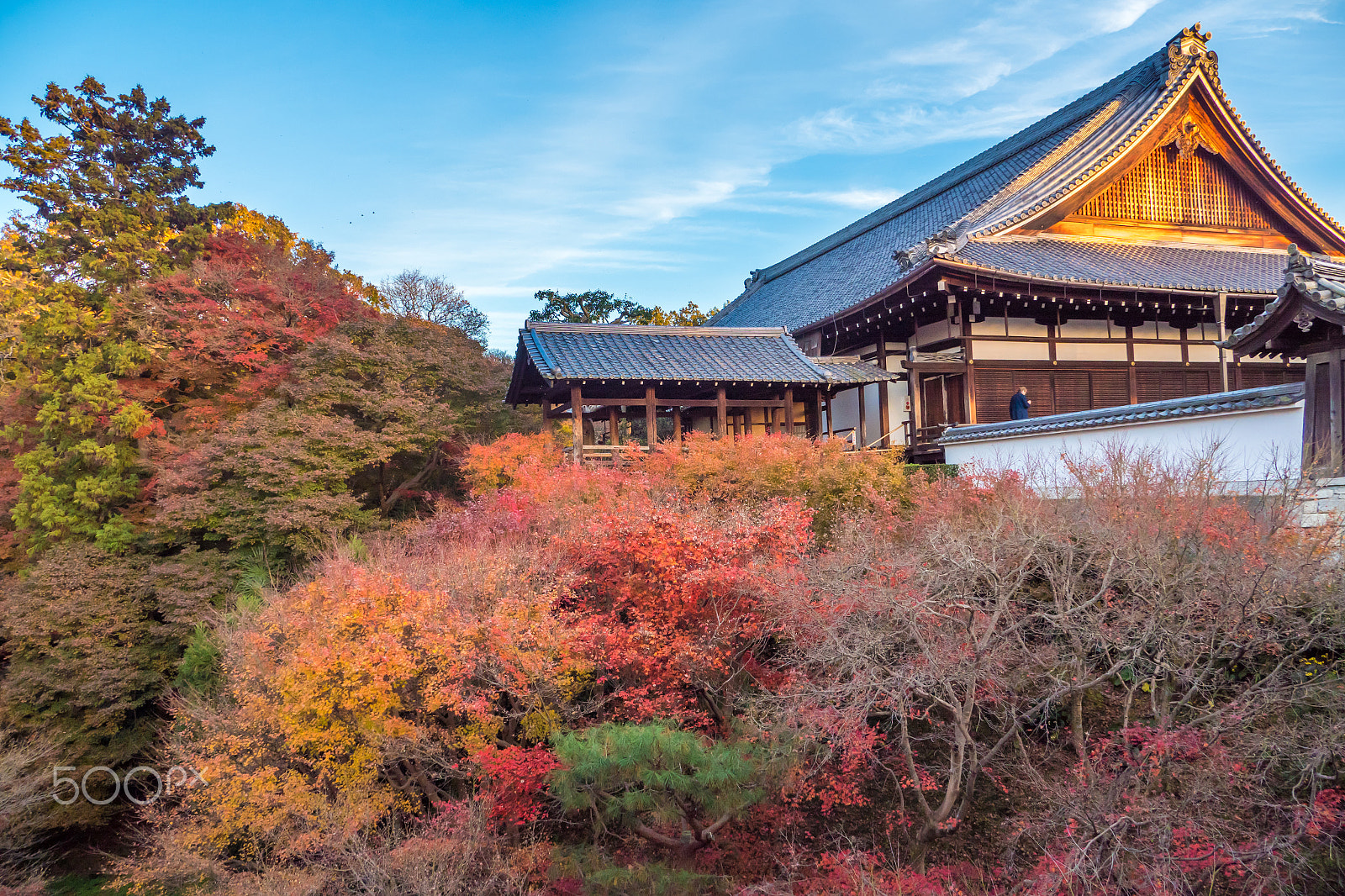 Olympus PEN-F sample photo. Kyoto photography