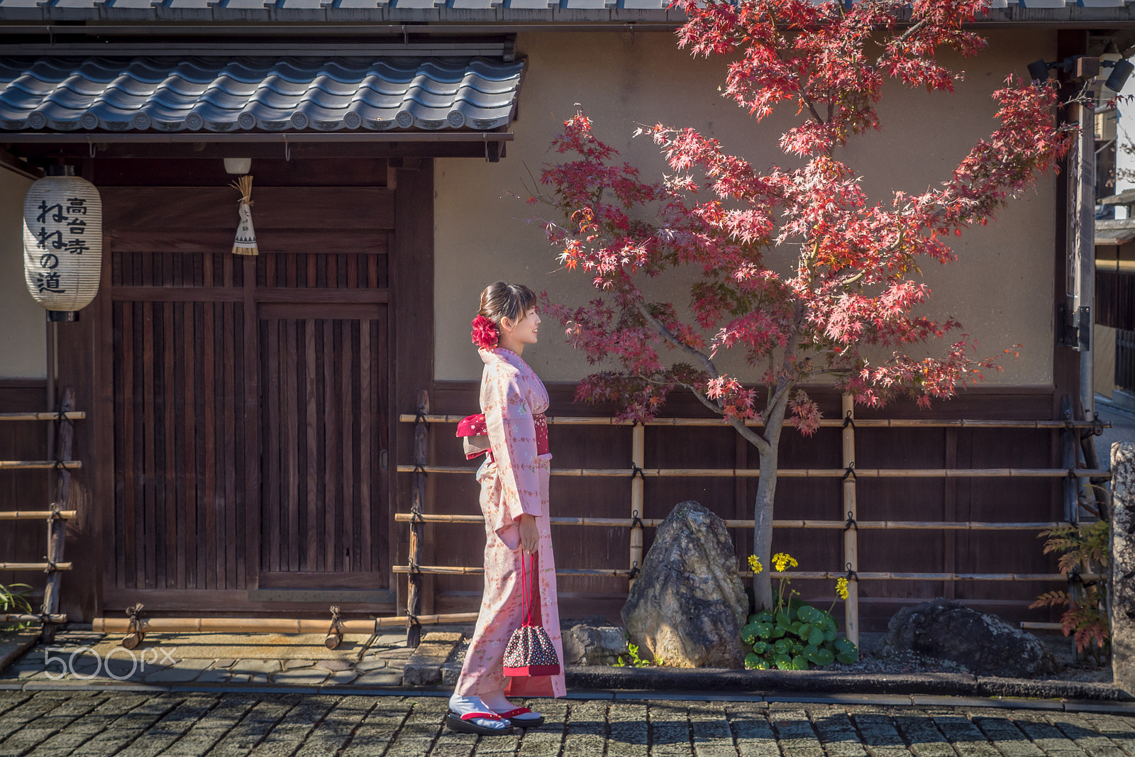 Olympus PEN-F sample photo. Kyoto photography