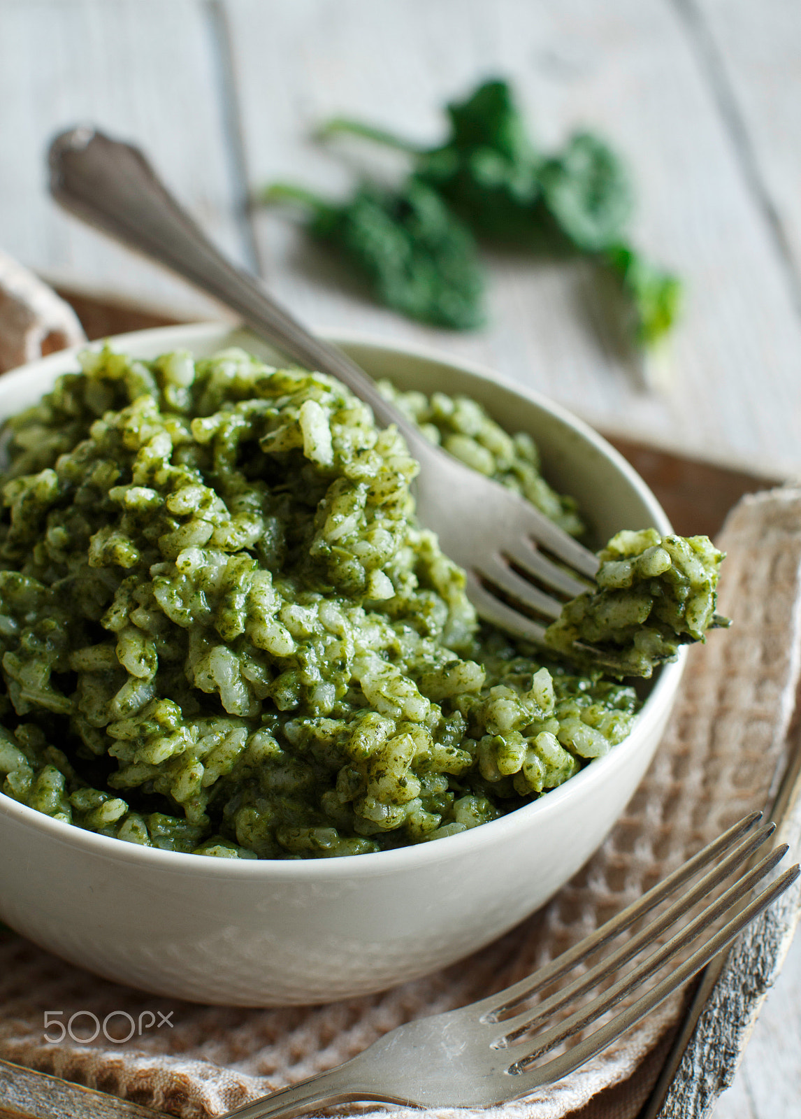 Canon EOS 650D (EOS Rebel T4i / EOS Kiss X6i) + Canon EF 50mm F1.2L USM sample photo. Risotto with spinach cream photography