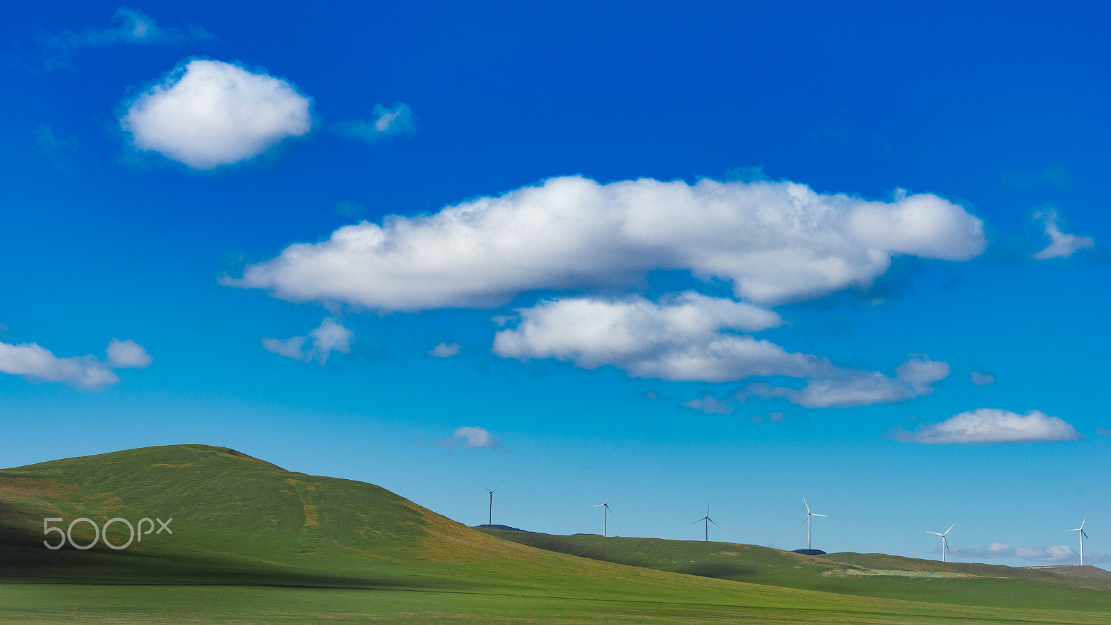 Sony SLT-A99V sample photo. Win xp style grassland photography