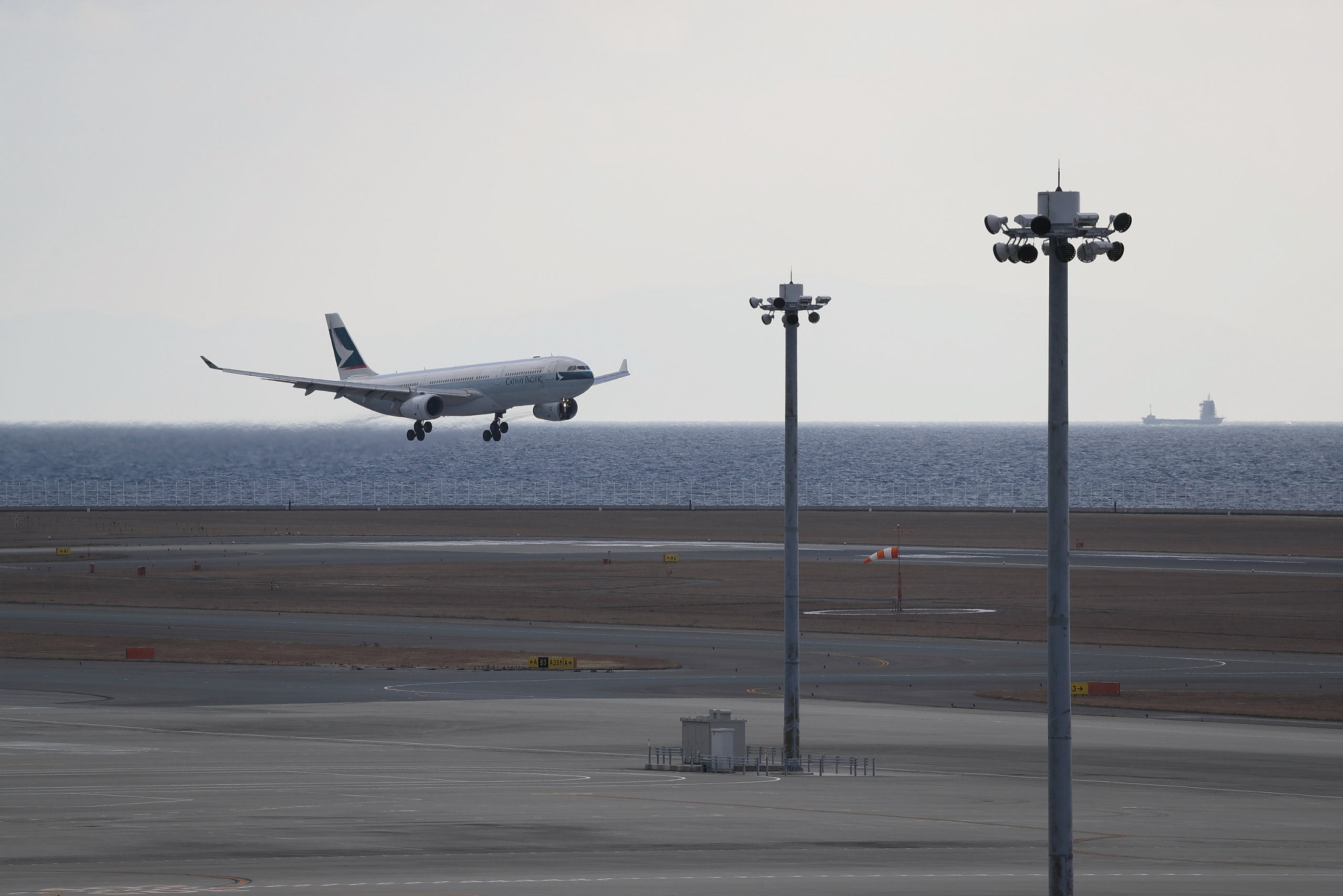 Canon EOS-1D X Mark II sample photo. Landing photography