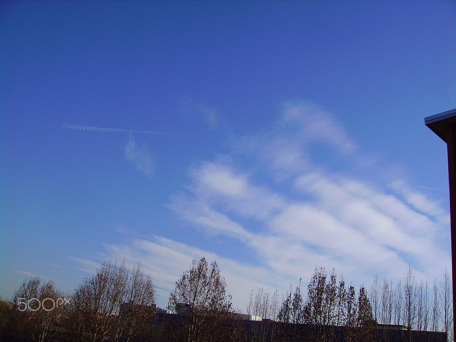 Pentax OPTIO 50L sample photo. Cielo azzuro photography