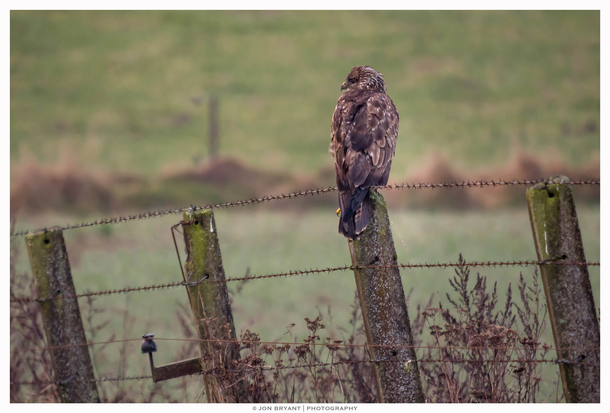 Panasonic Lumix DMC-GH4 + LEICA DG 100-400/F4.0-6.3 sample photo. Surveying the landscape photography