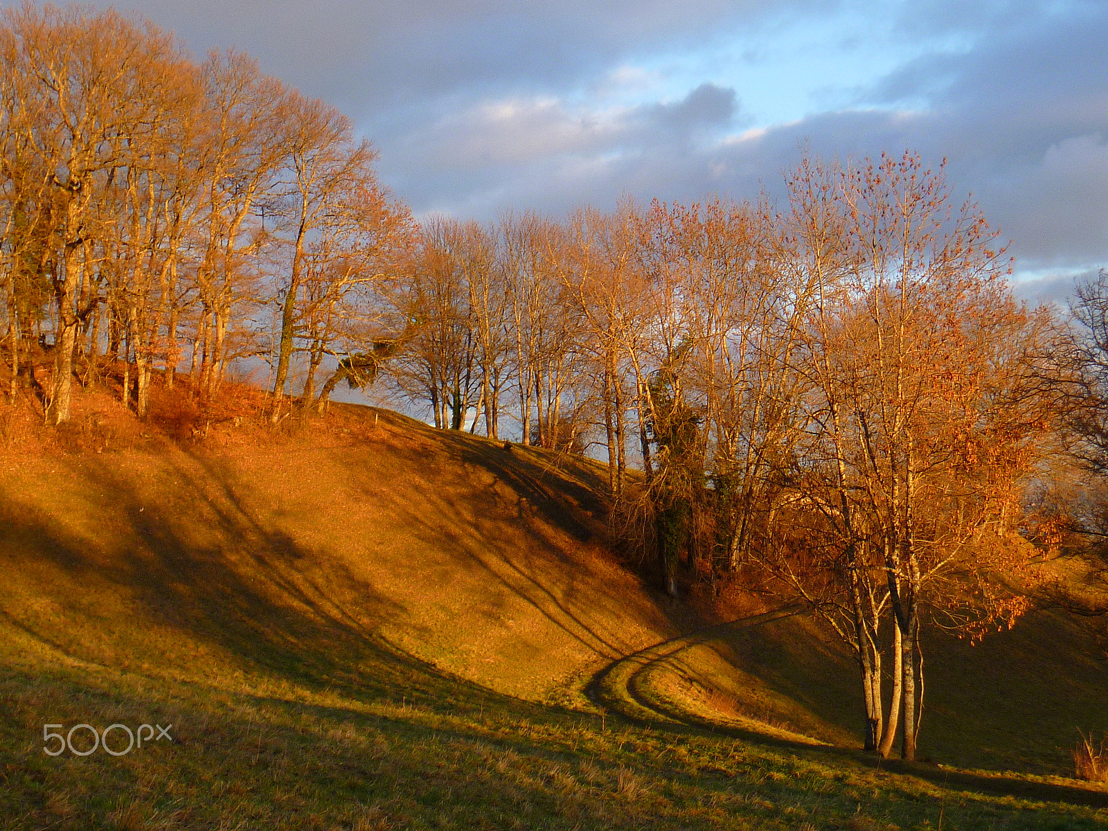 Panasonic DMC-FP3 sample photo. By the light of the setting sun photography