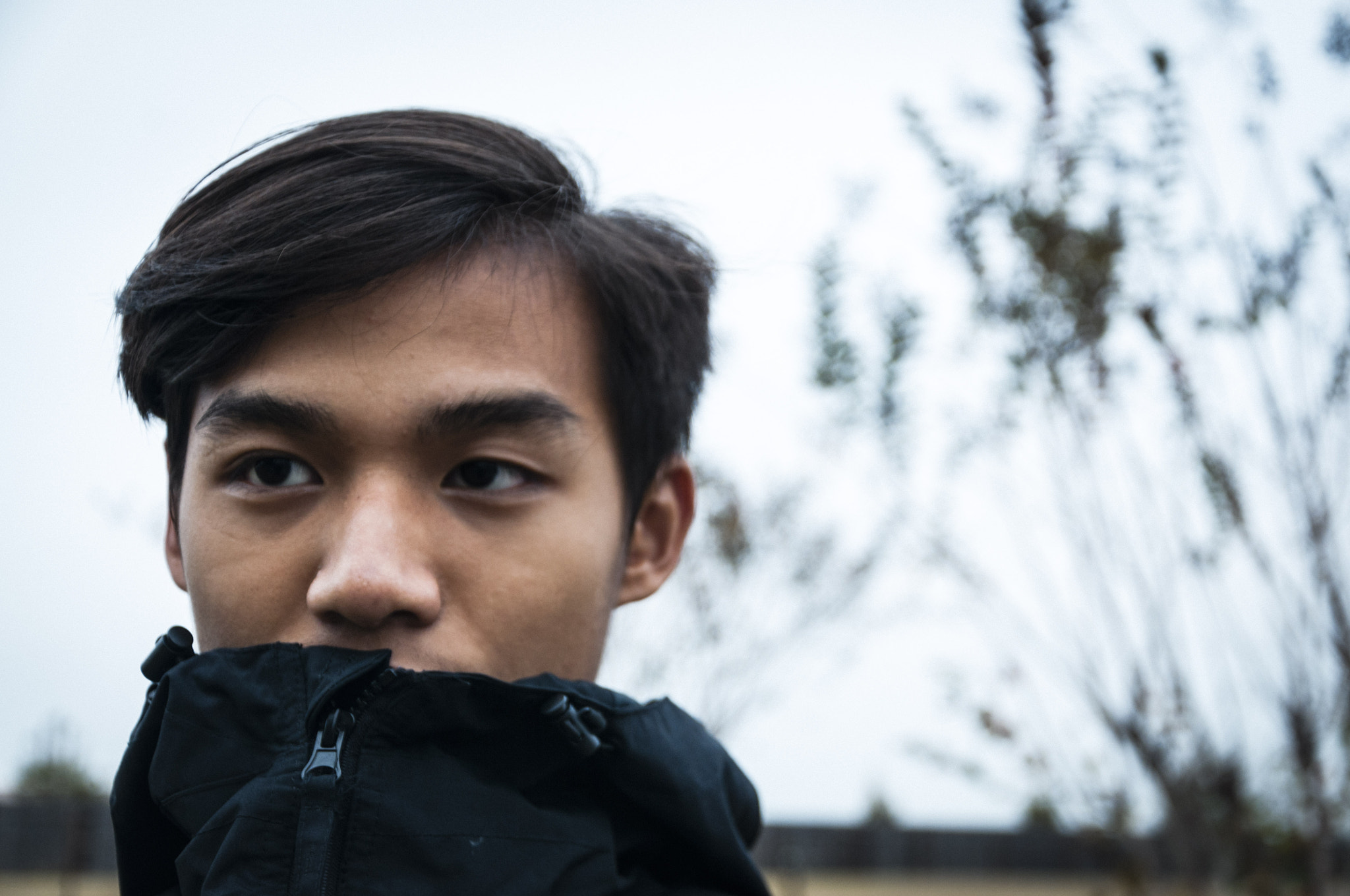 Nikon D300 sample photo. Face to face photography