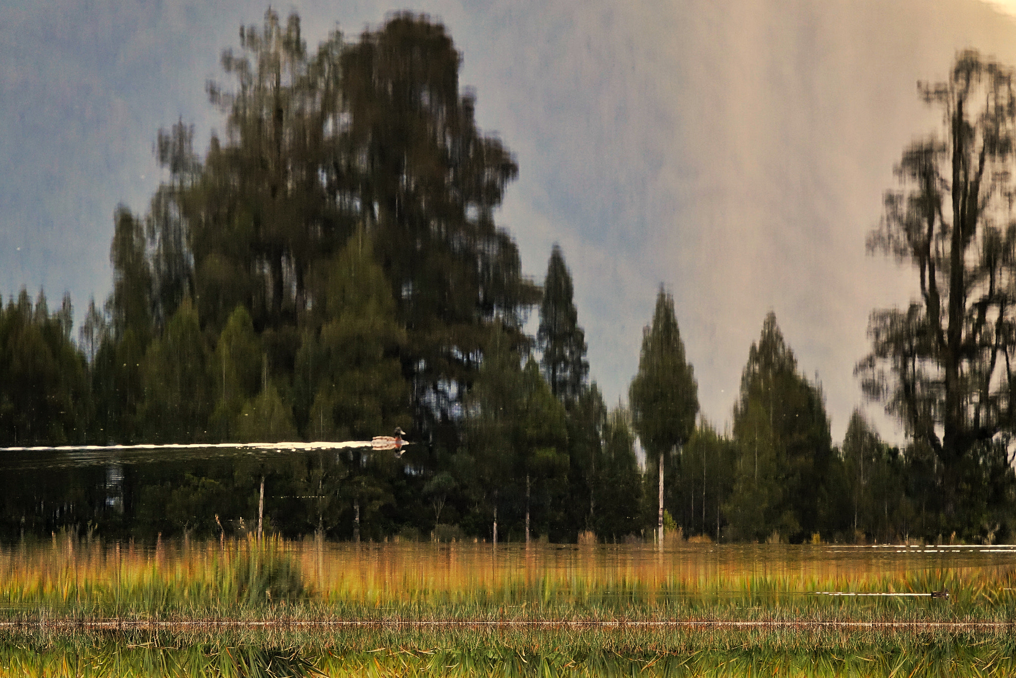 Sony 24-600mm F2.4-4.0 sample photo
